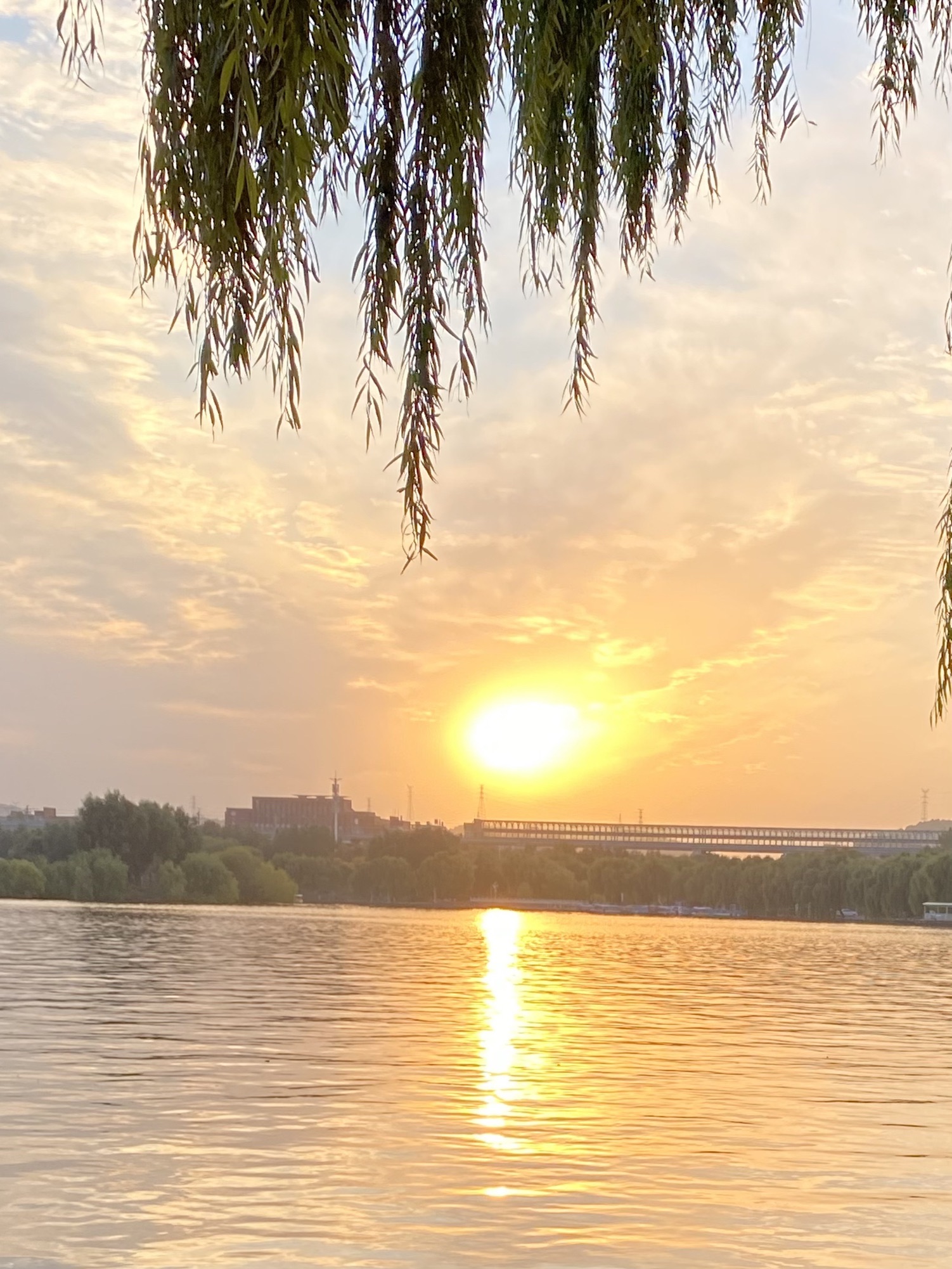 济南国际园博园旅行图片 3