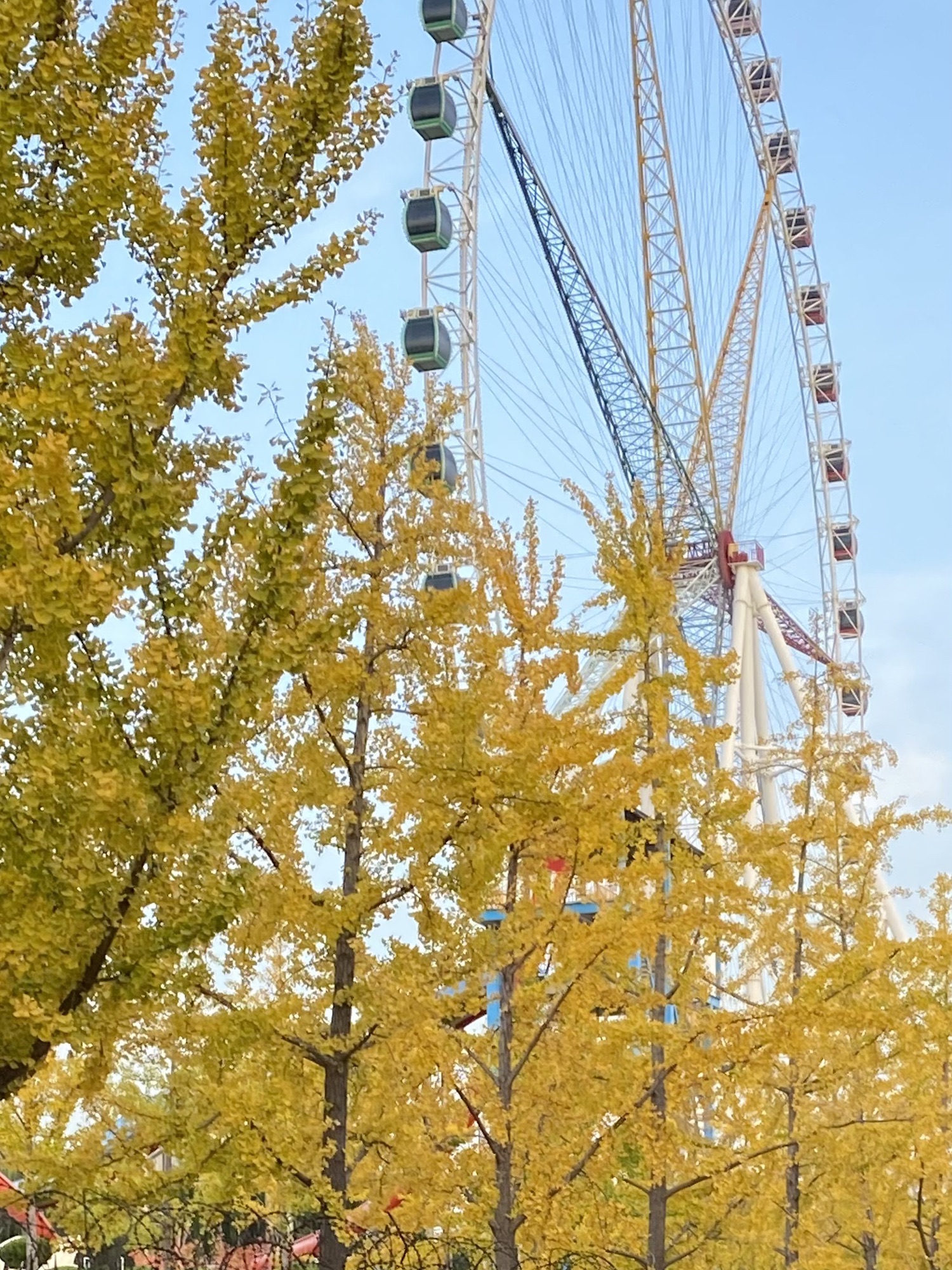 济南国际园博园旅行图片 2