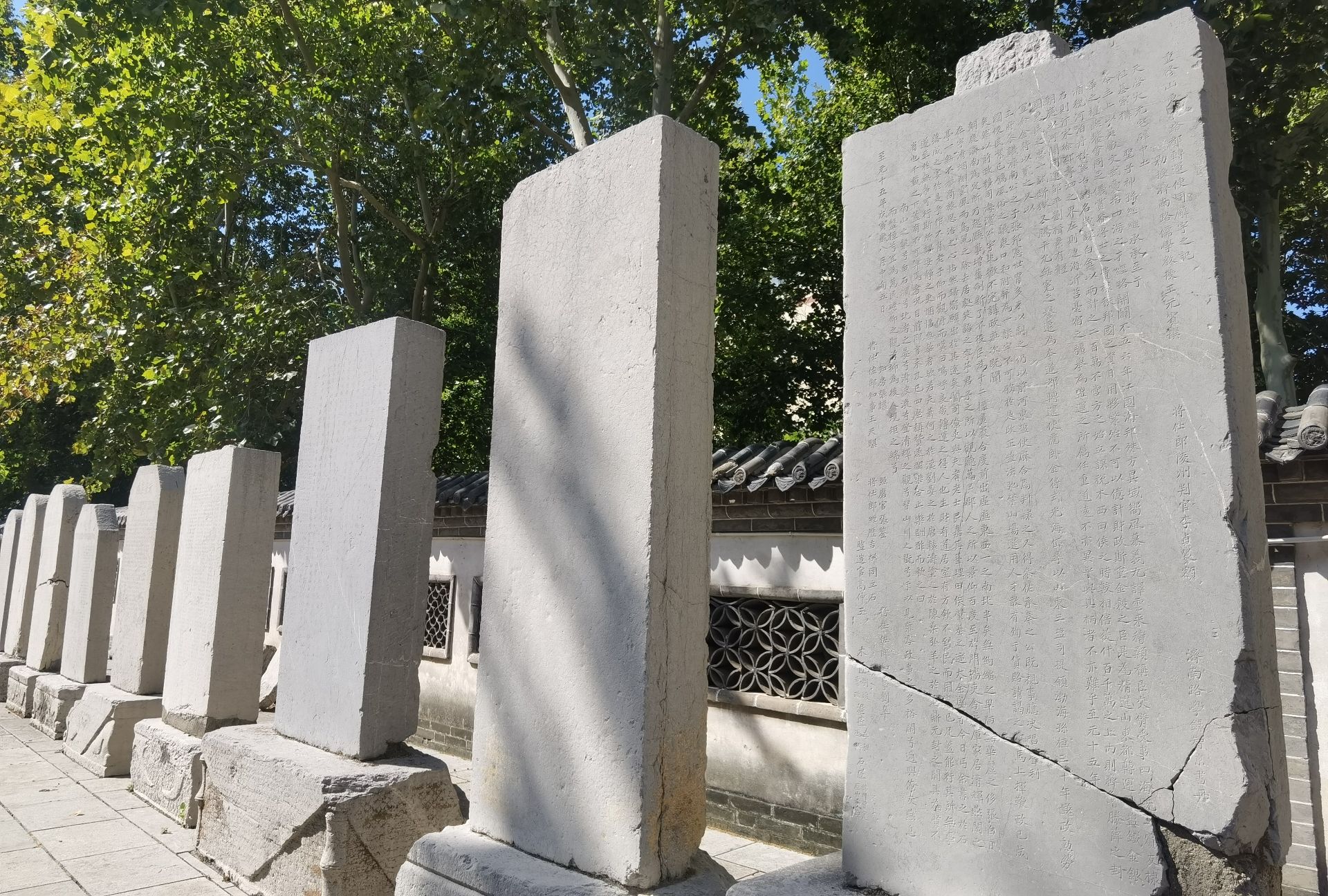崇孝苑旅行图片 3