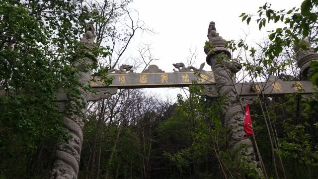 蟠龙山森林公园旅行图片 2