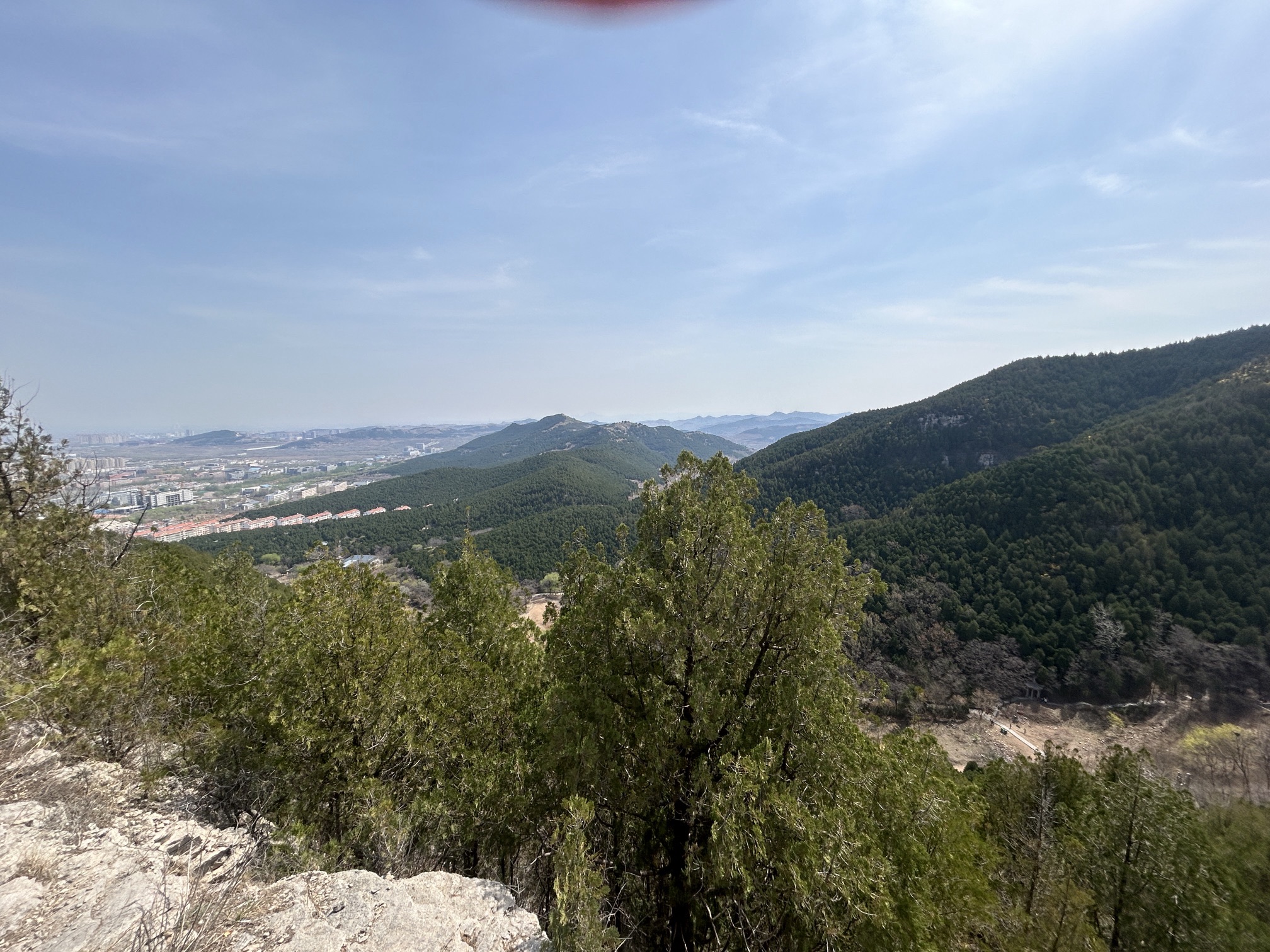 蟠龙山森林公园旅行图片 3