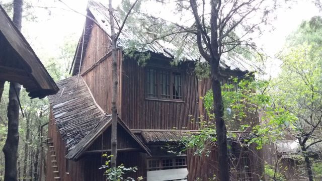 蟠龙山森林公园旅行图片 3