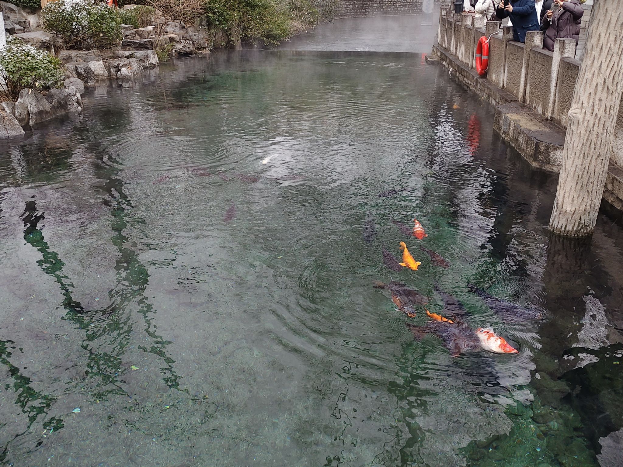 蟠龙山森林公园旅行图片 2
