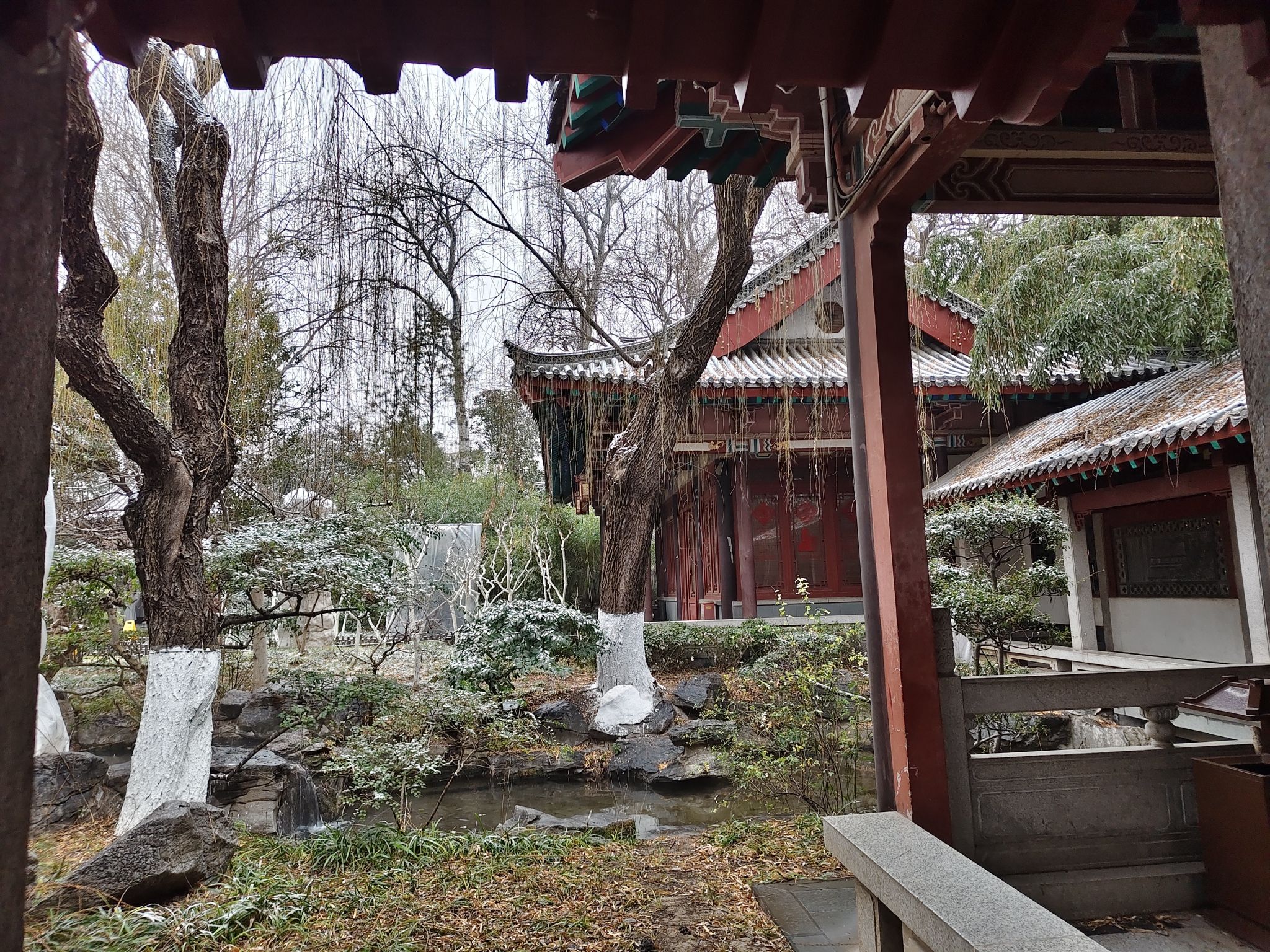 蟠龙山森林公园旅行图片 3