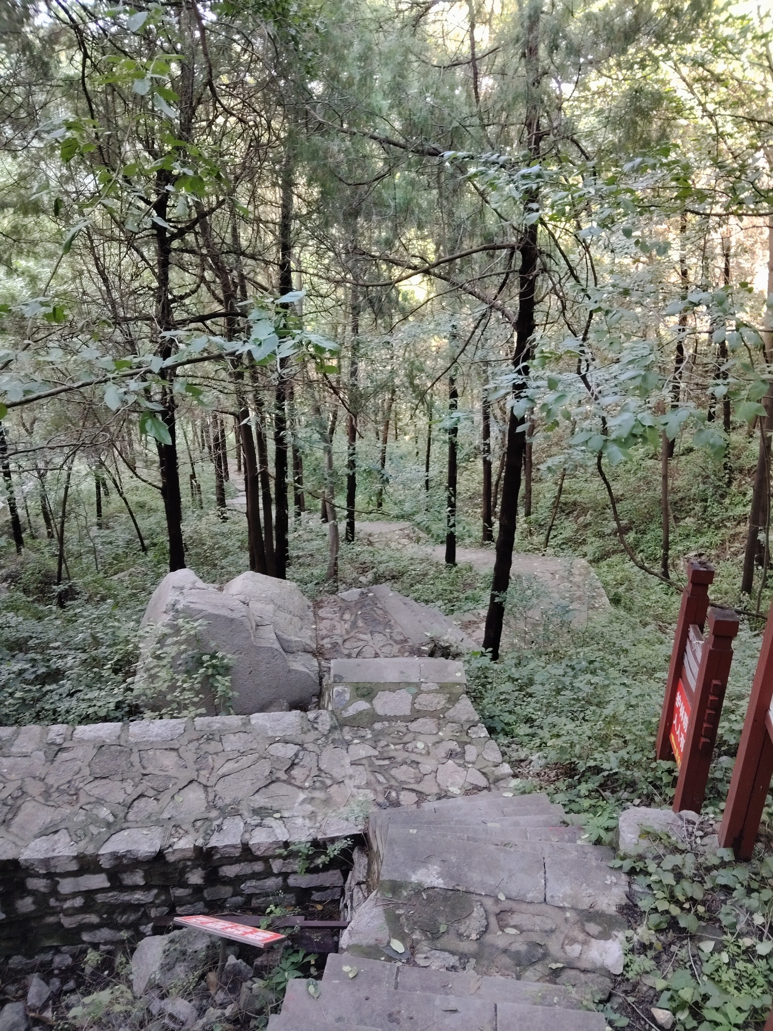 蟠龙山森林公园旅行图片 2