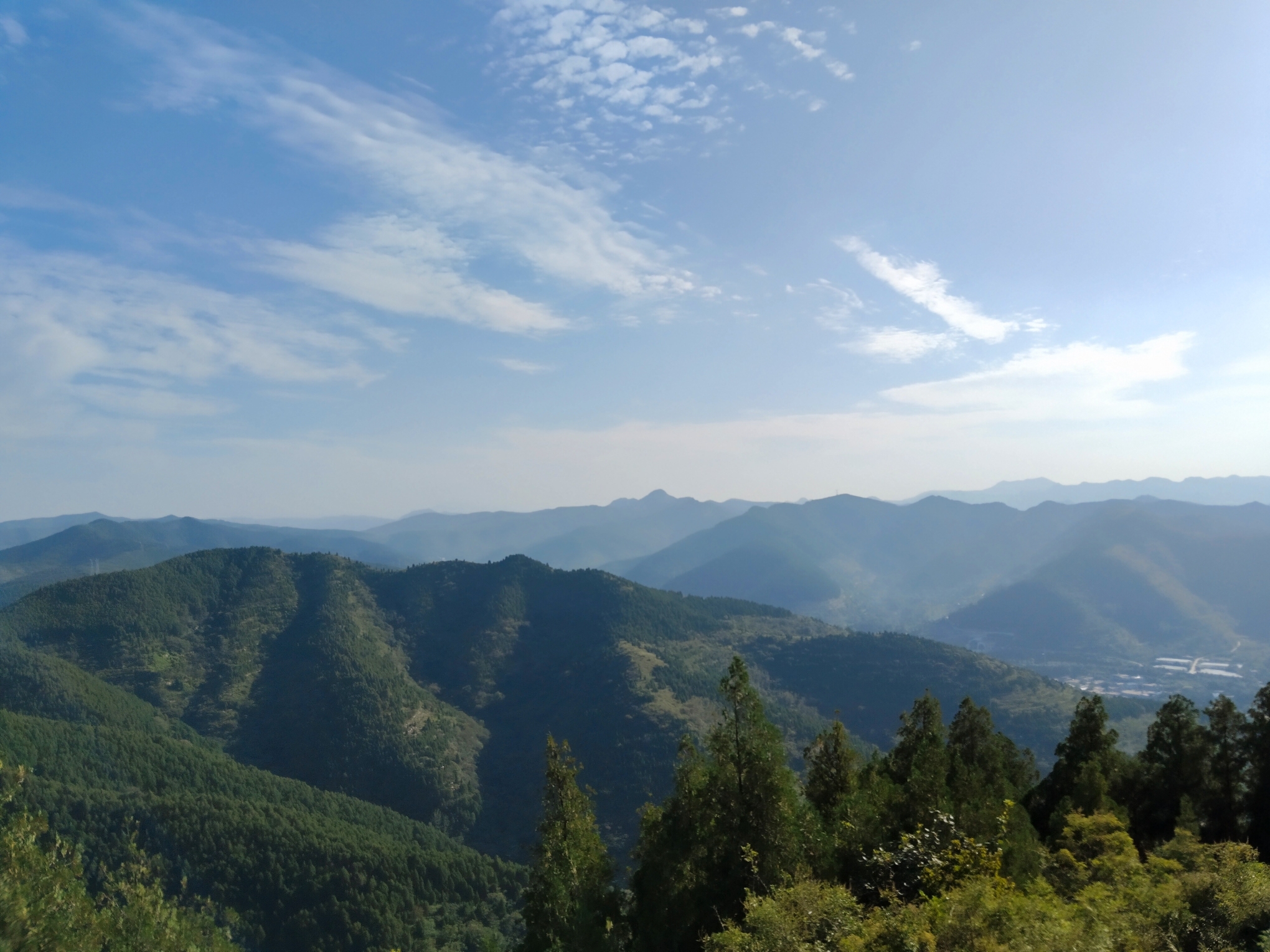 蟠龙山森林公园旅行图片 3