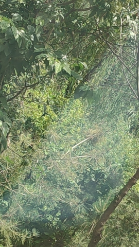 滨河公园旅行图片 2