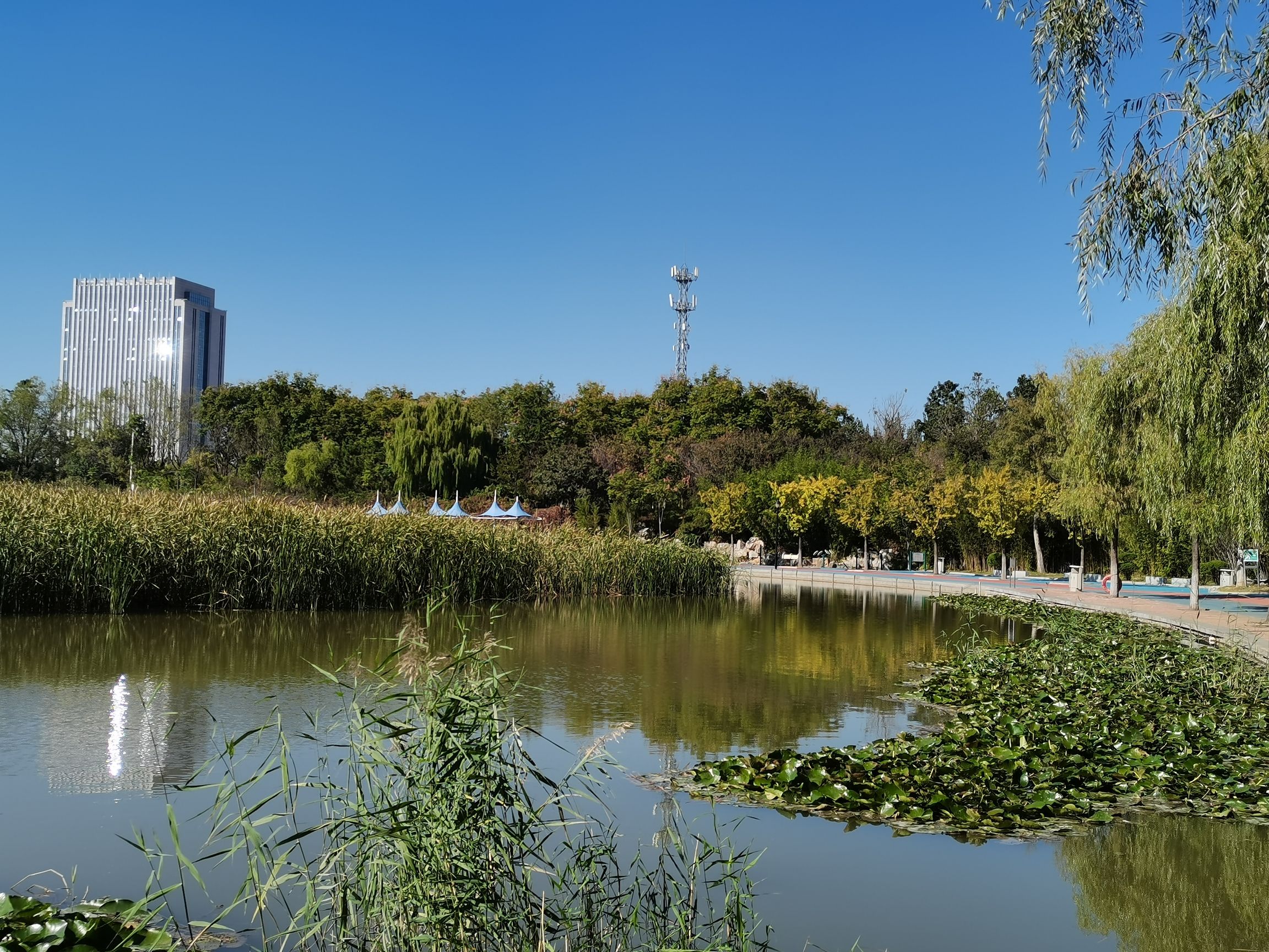彩虹湖公园旅行图片 3