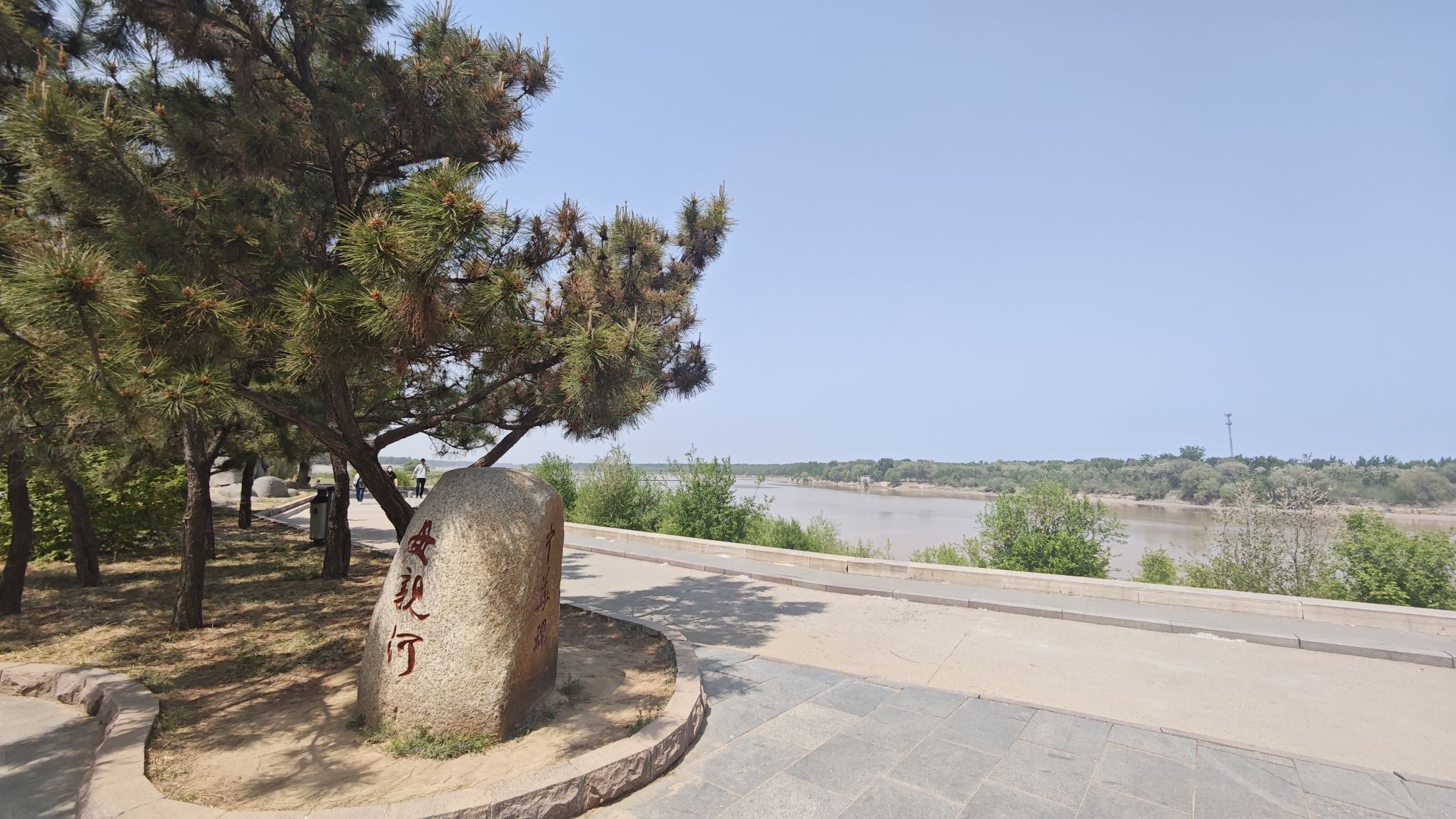济南黄河森林公园(不对外开放)旅行图片 1