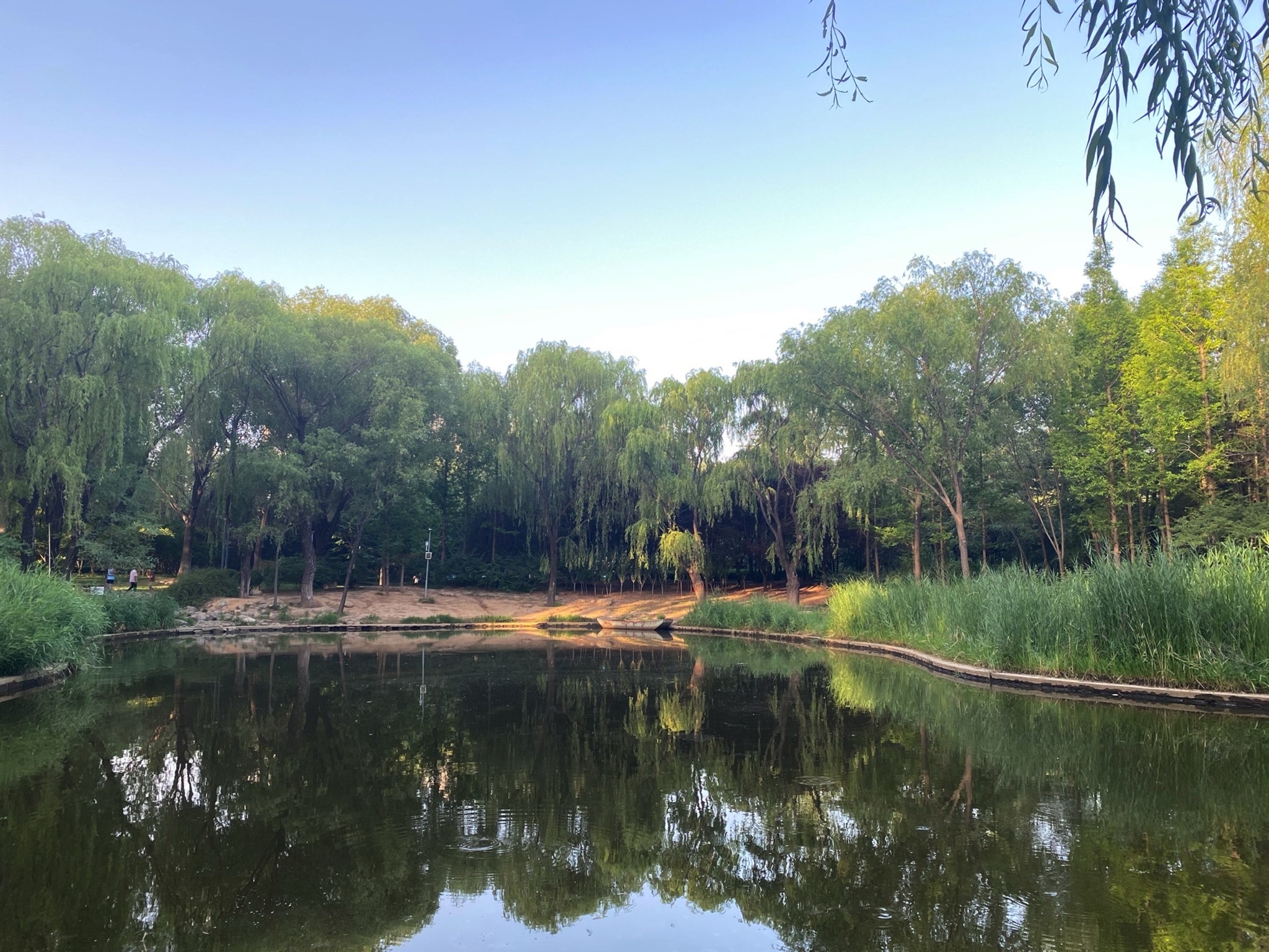 济南黄河森林公园(不对外开放)旅行图片 1