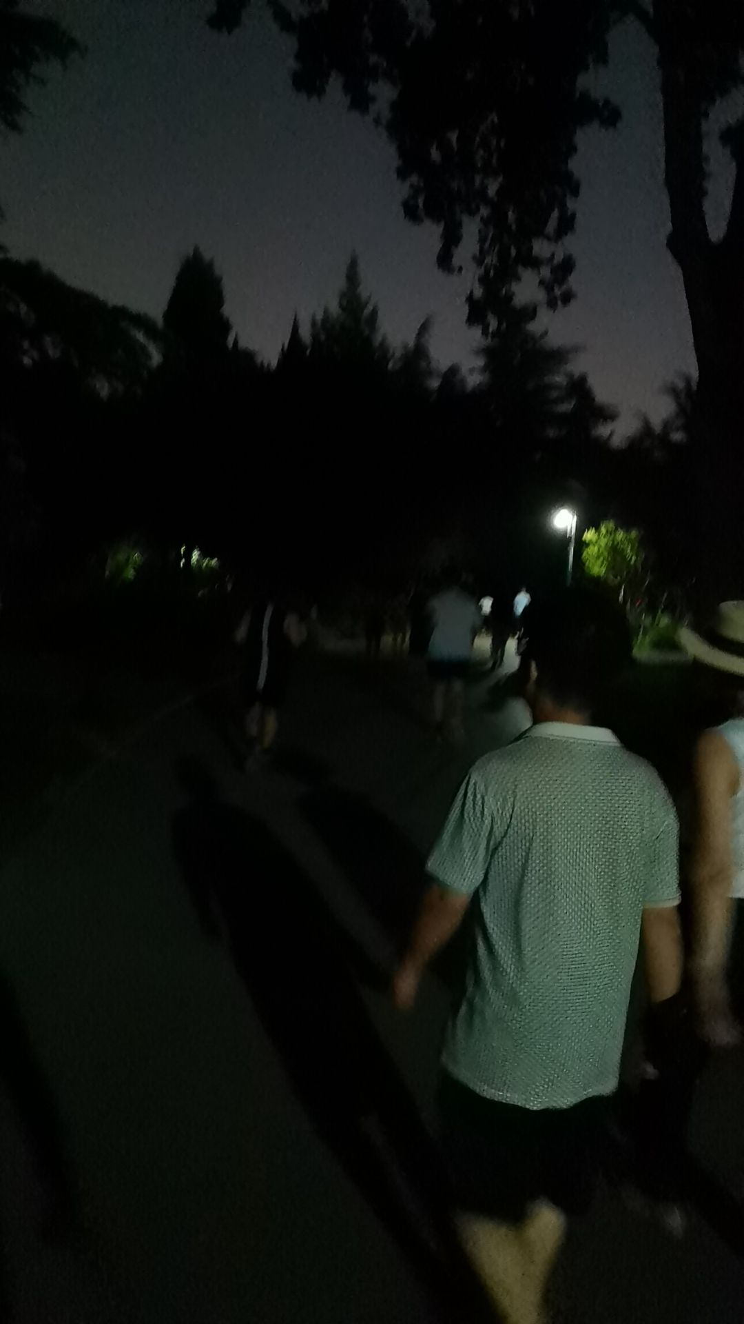 历下文化广场旅行图片 1