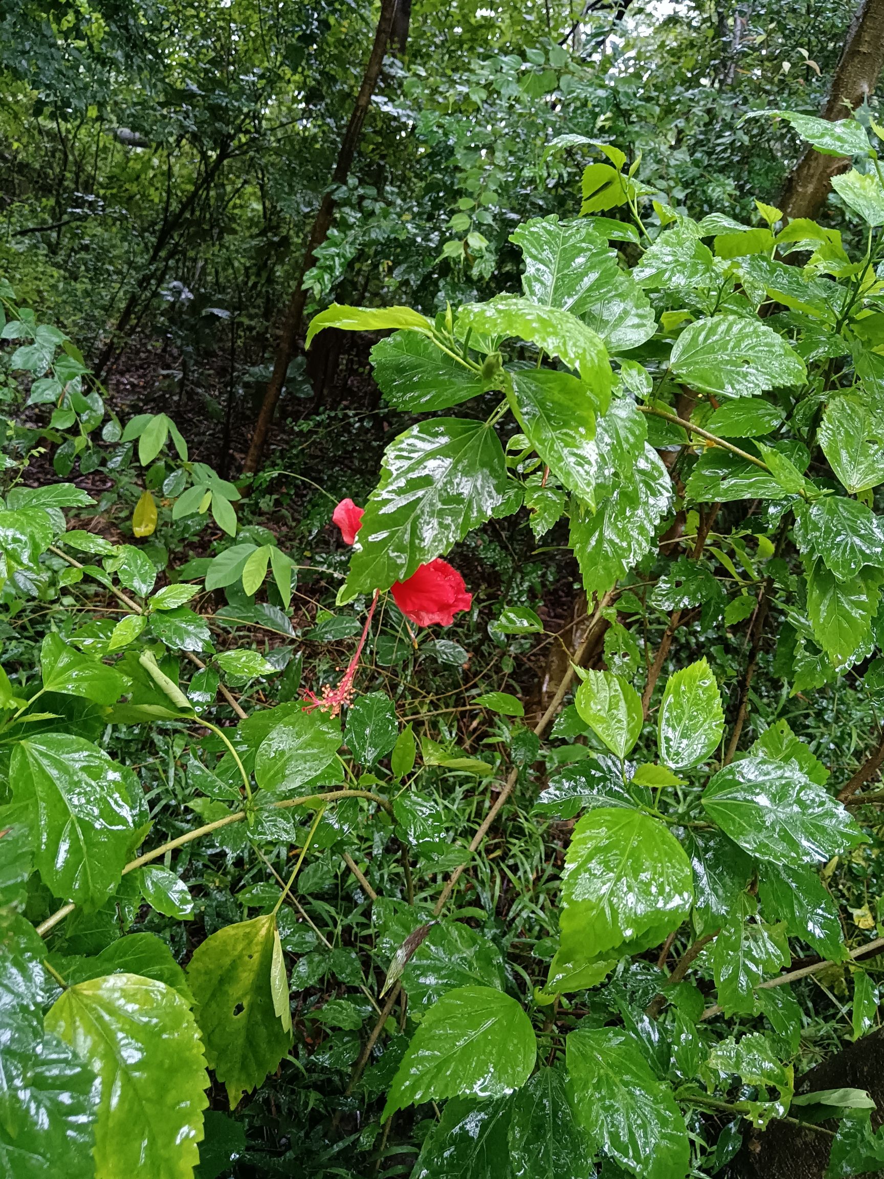 济南植物园旅行图片 3