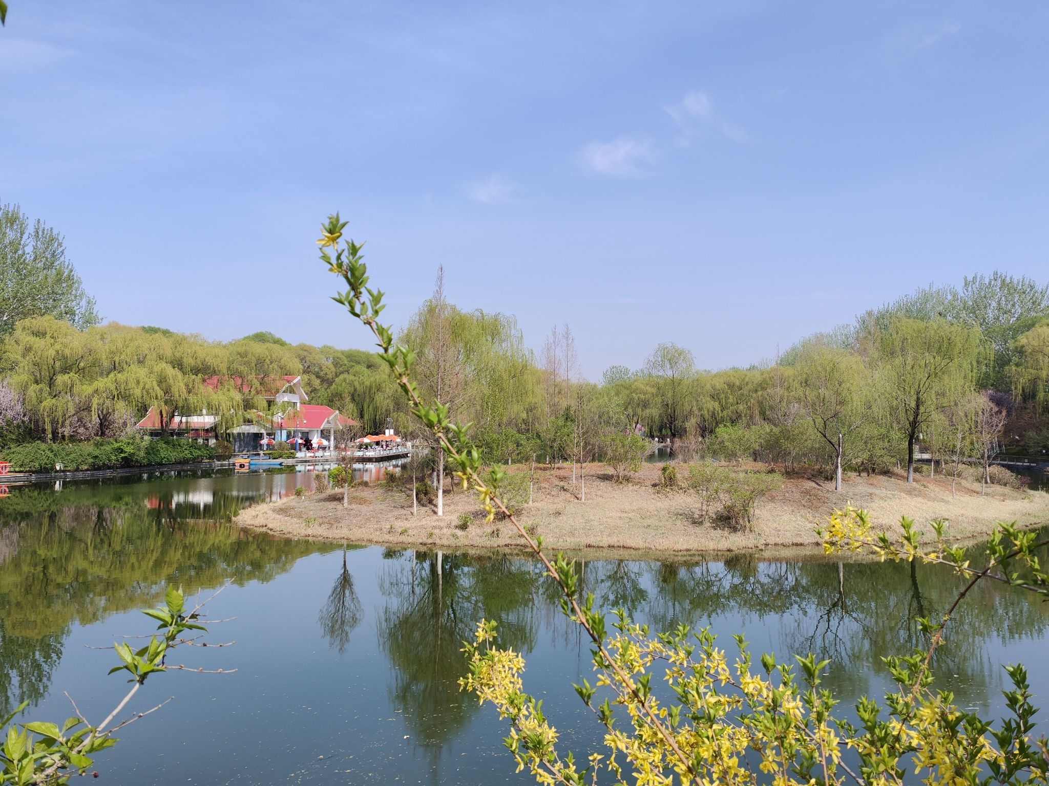 济南植物园旅行图片 1