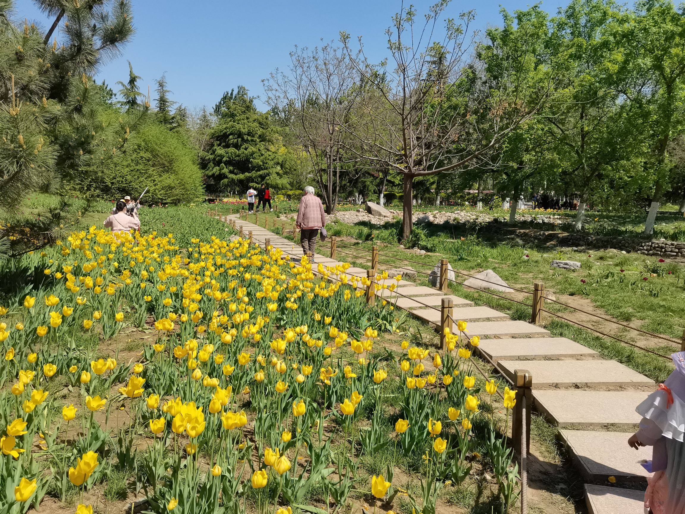 济南植物园旅行图片 1
