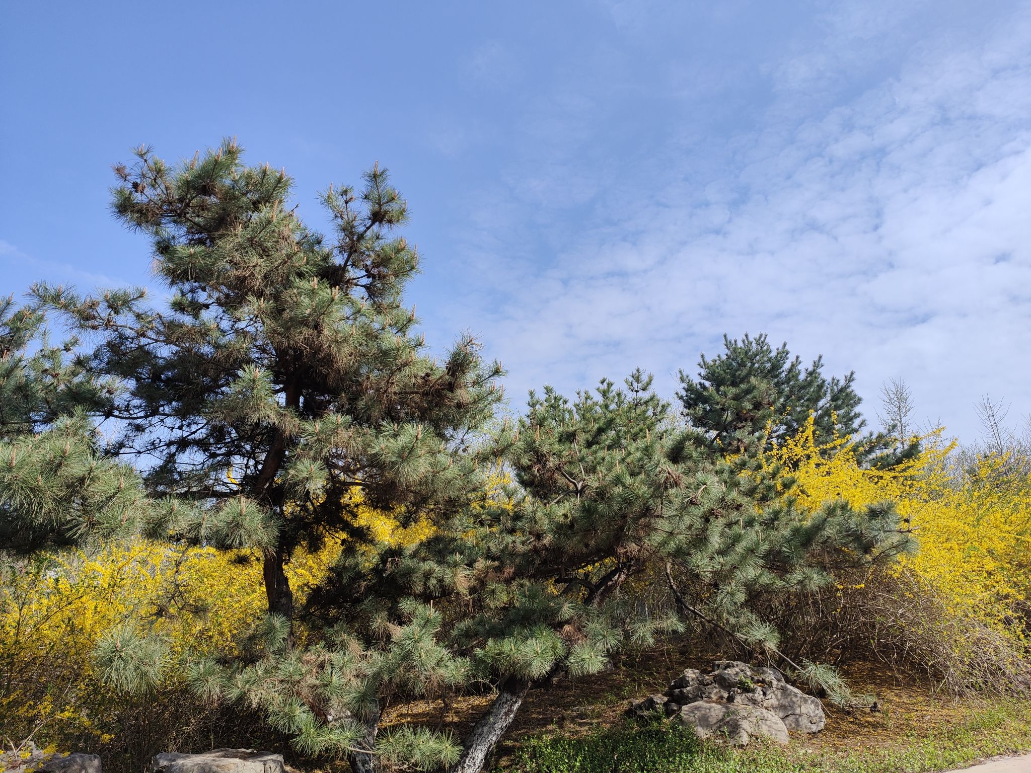 济南植物园旅行图片 2