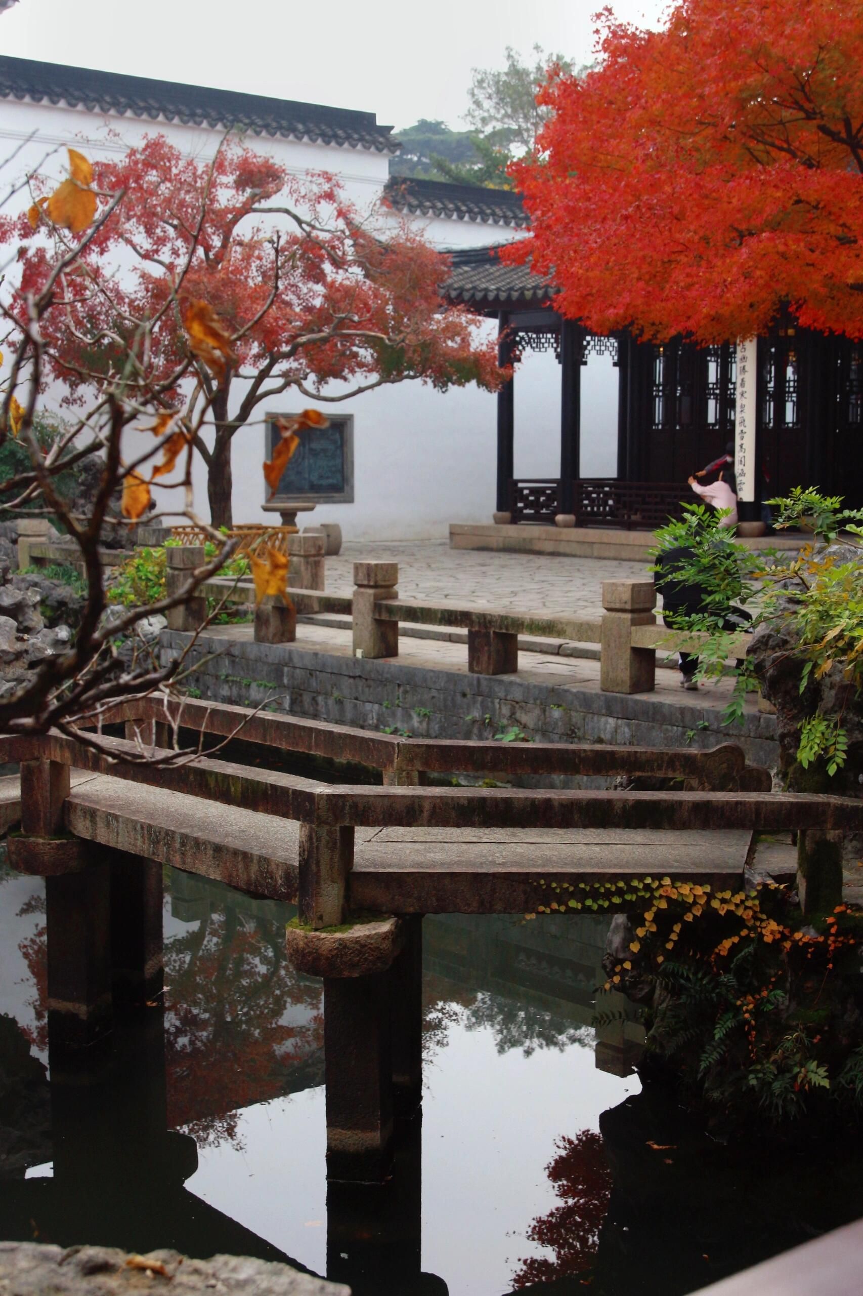 环秀公园旅行图片 1