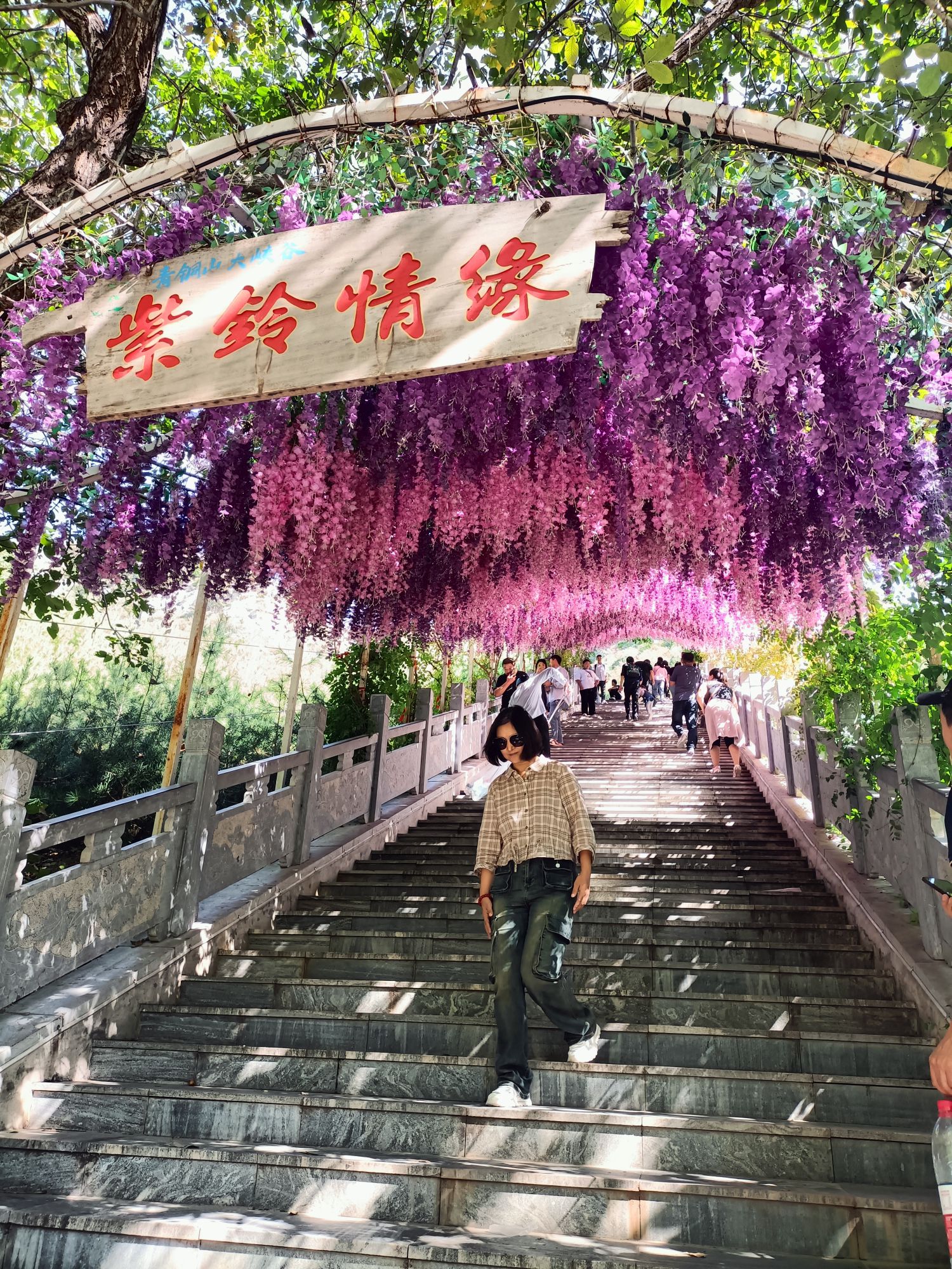青铜山大峡谷旅行图片 3