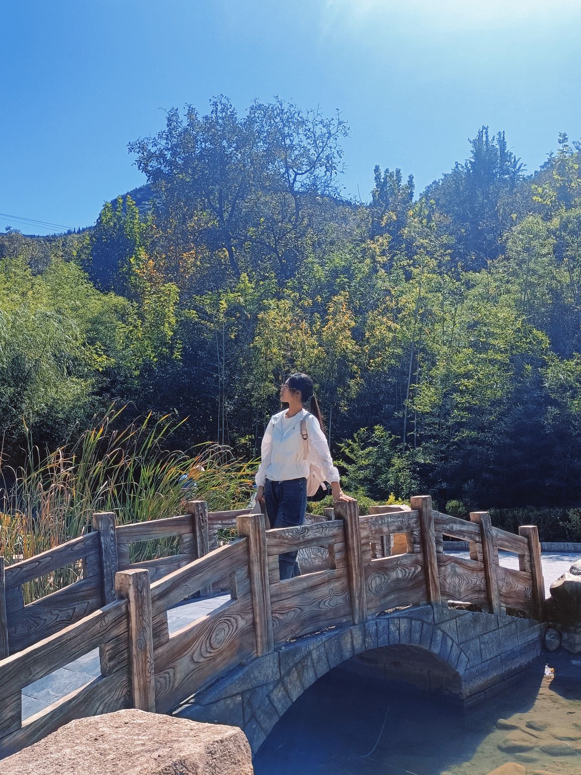 青铜山大峡谷旅行图片 1