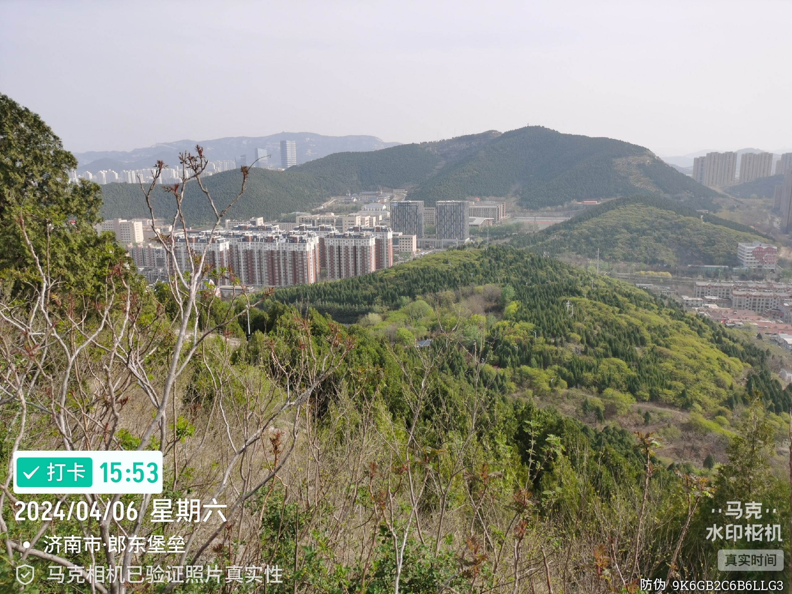 郎茂山公园旅行图片 1