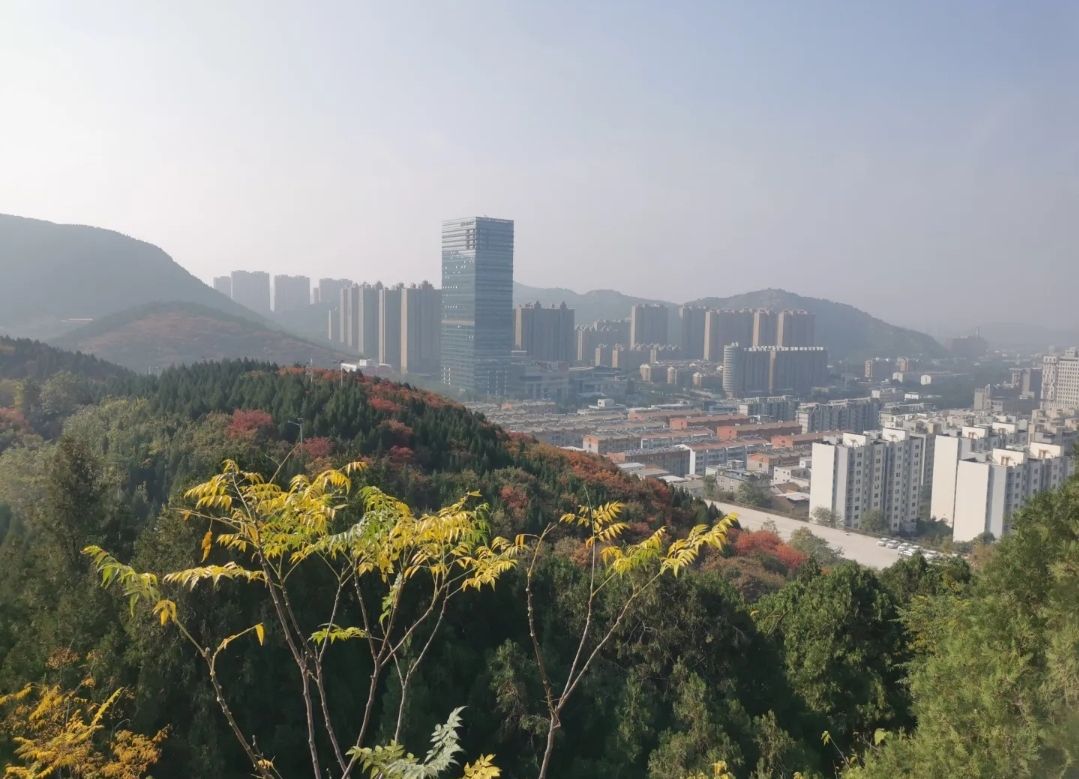 郎茂山公园旅行图片 1