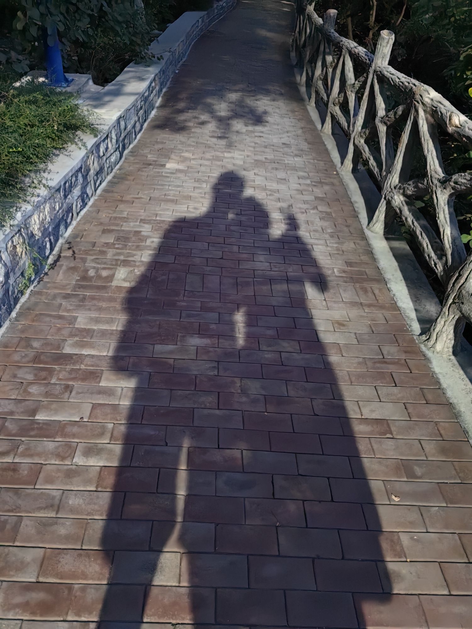 郎茂山公园旅行图片 2