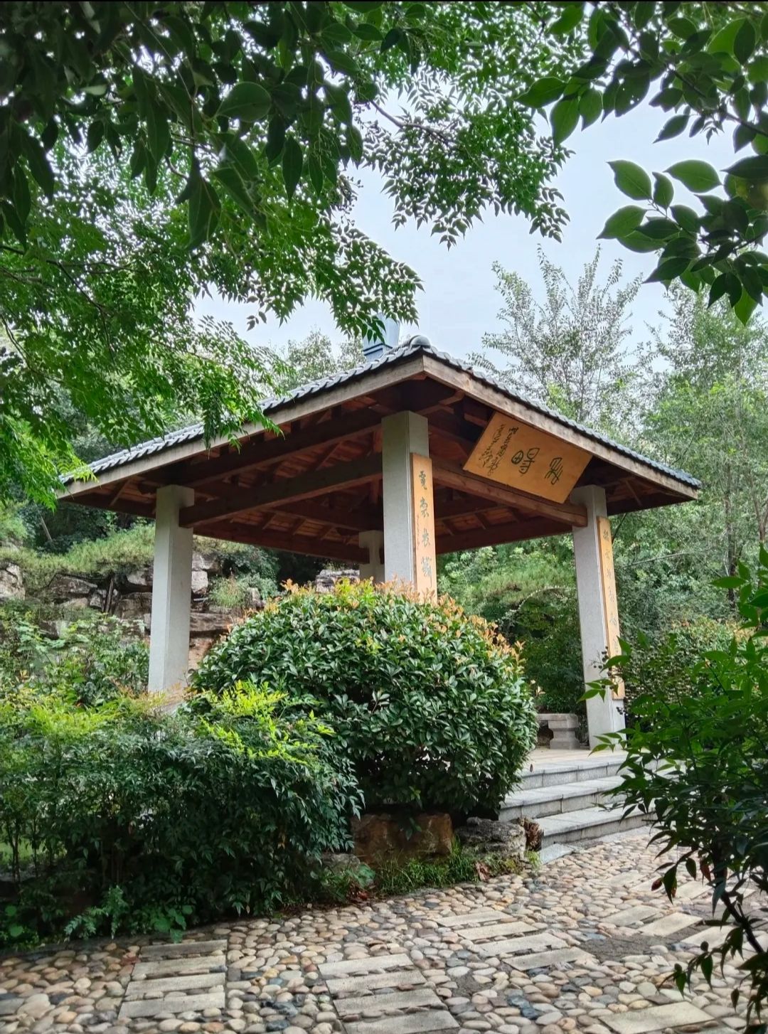 唐冶公园旅行图片 2