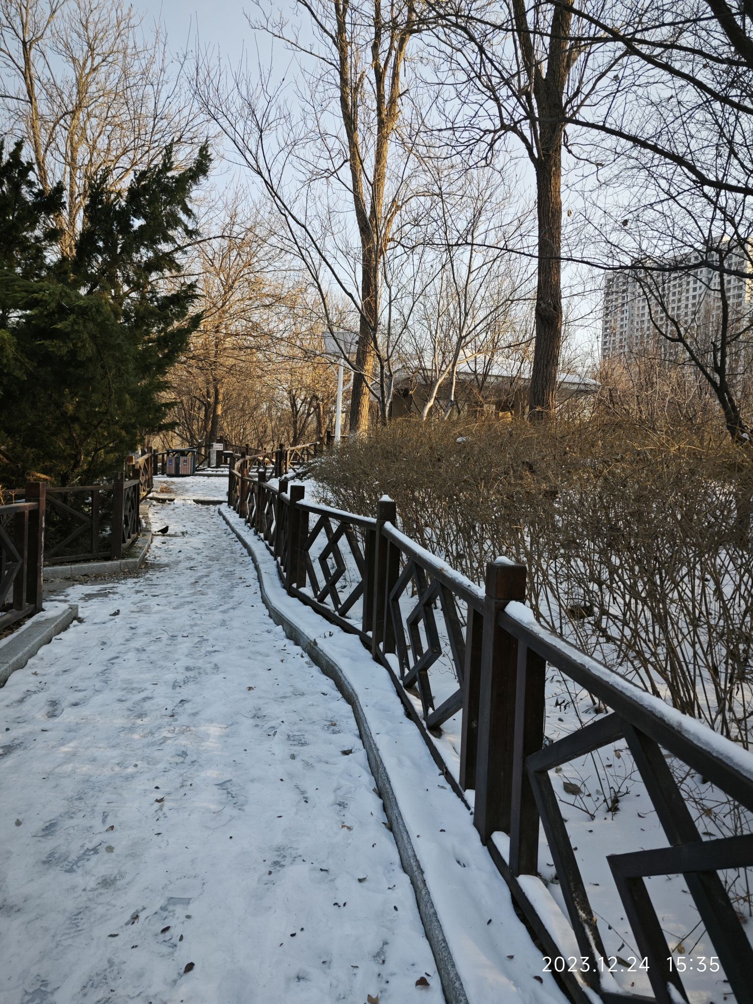 唐冶公园旅行图片 1