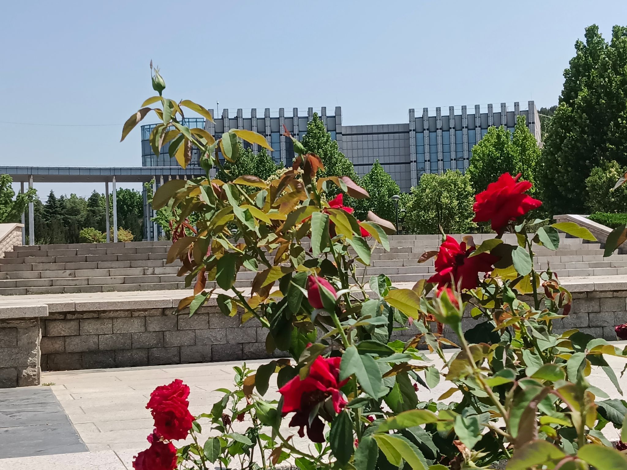 迎宾广场旅行图片 2