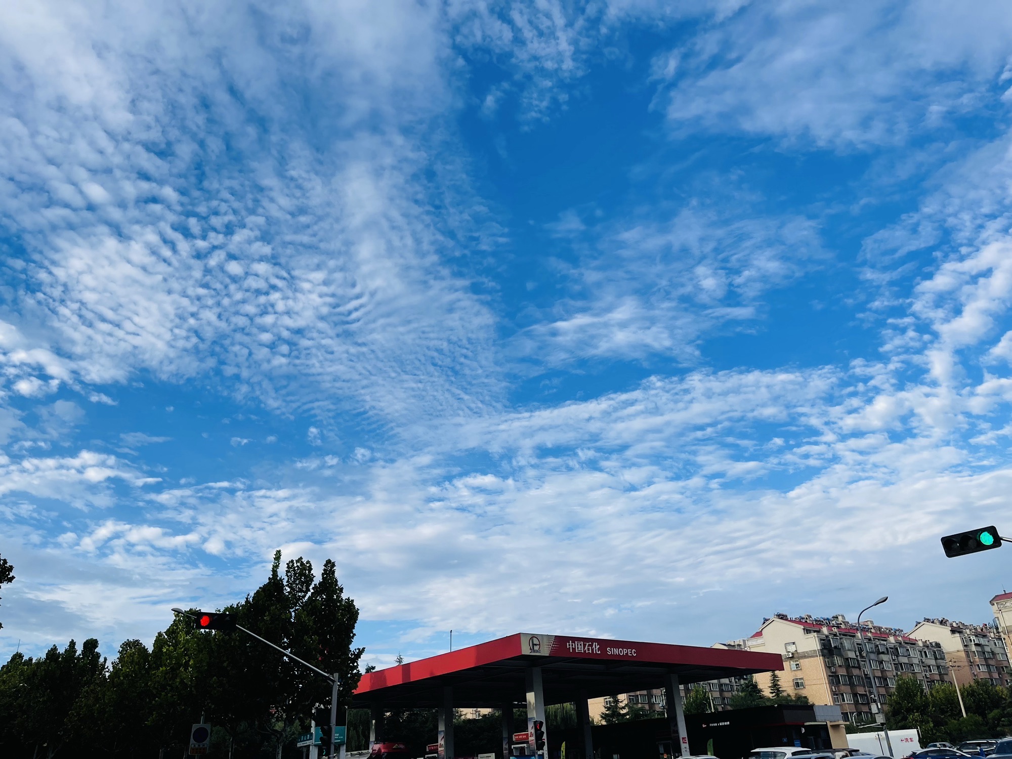 洪山广场旅行图片 2