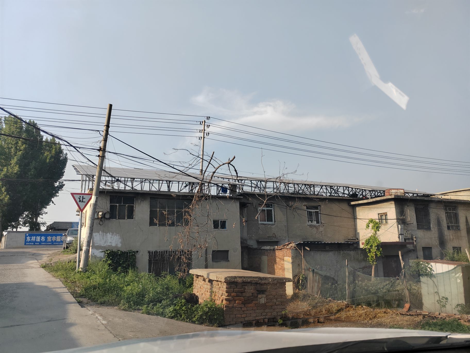 刁镇广场旅行图片 2