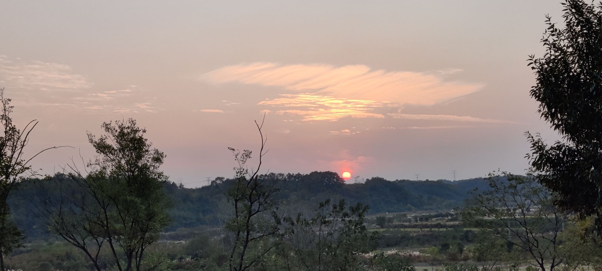 刁镇广场旅行图片 1