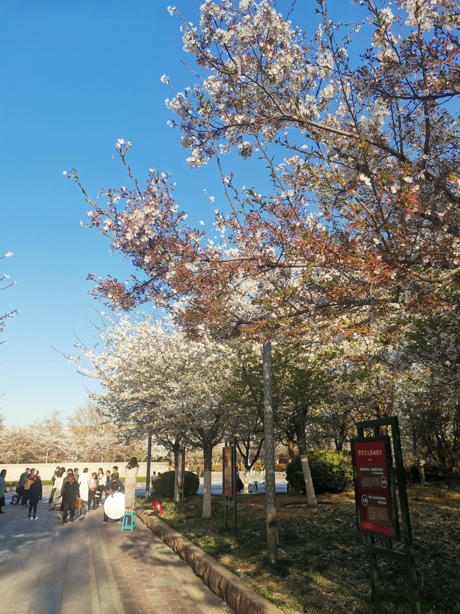 天桥滨湖广场旅行图片 2
