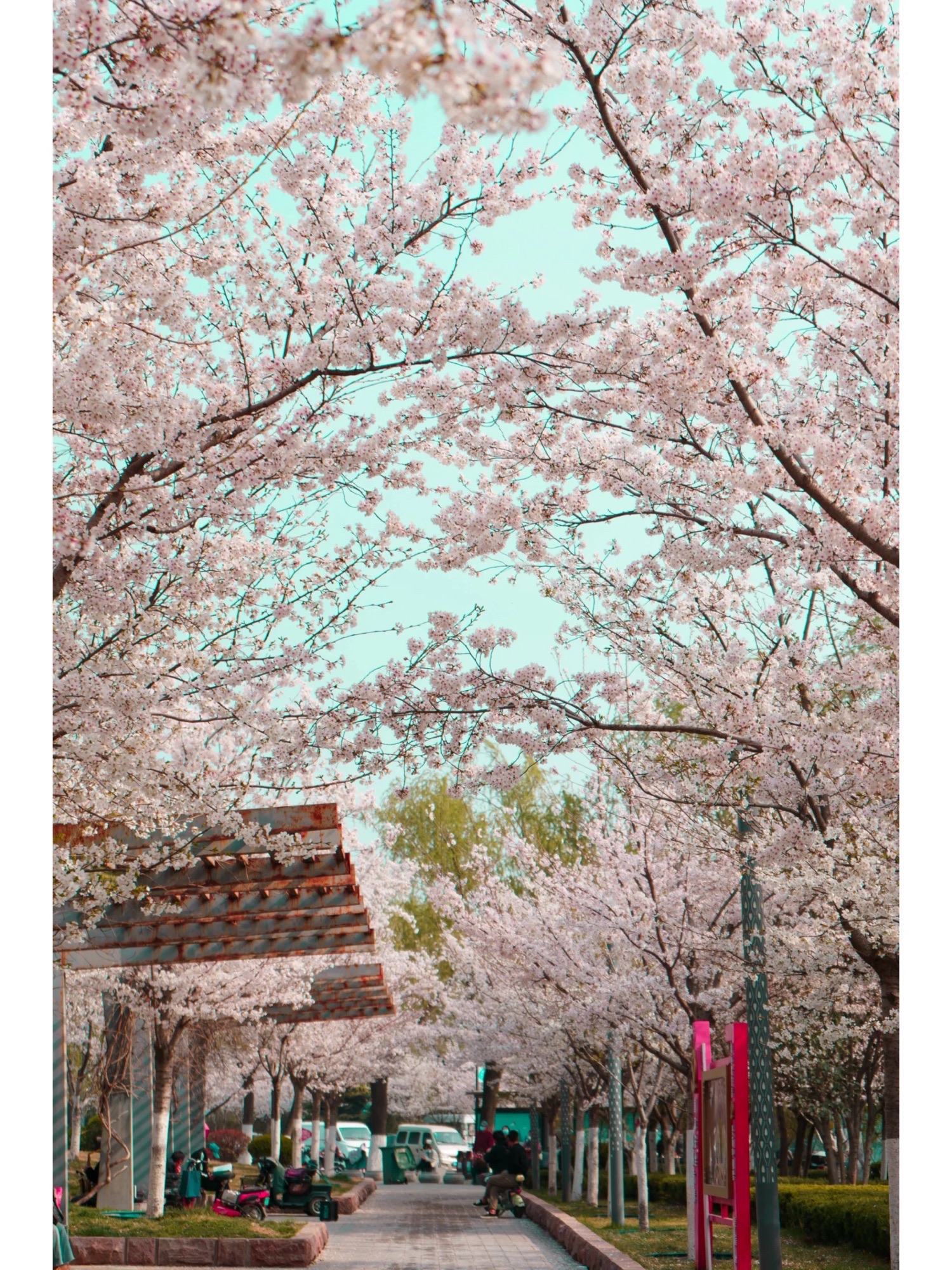 天桥滨湖广场旅行图片 2