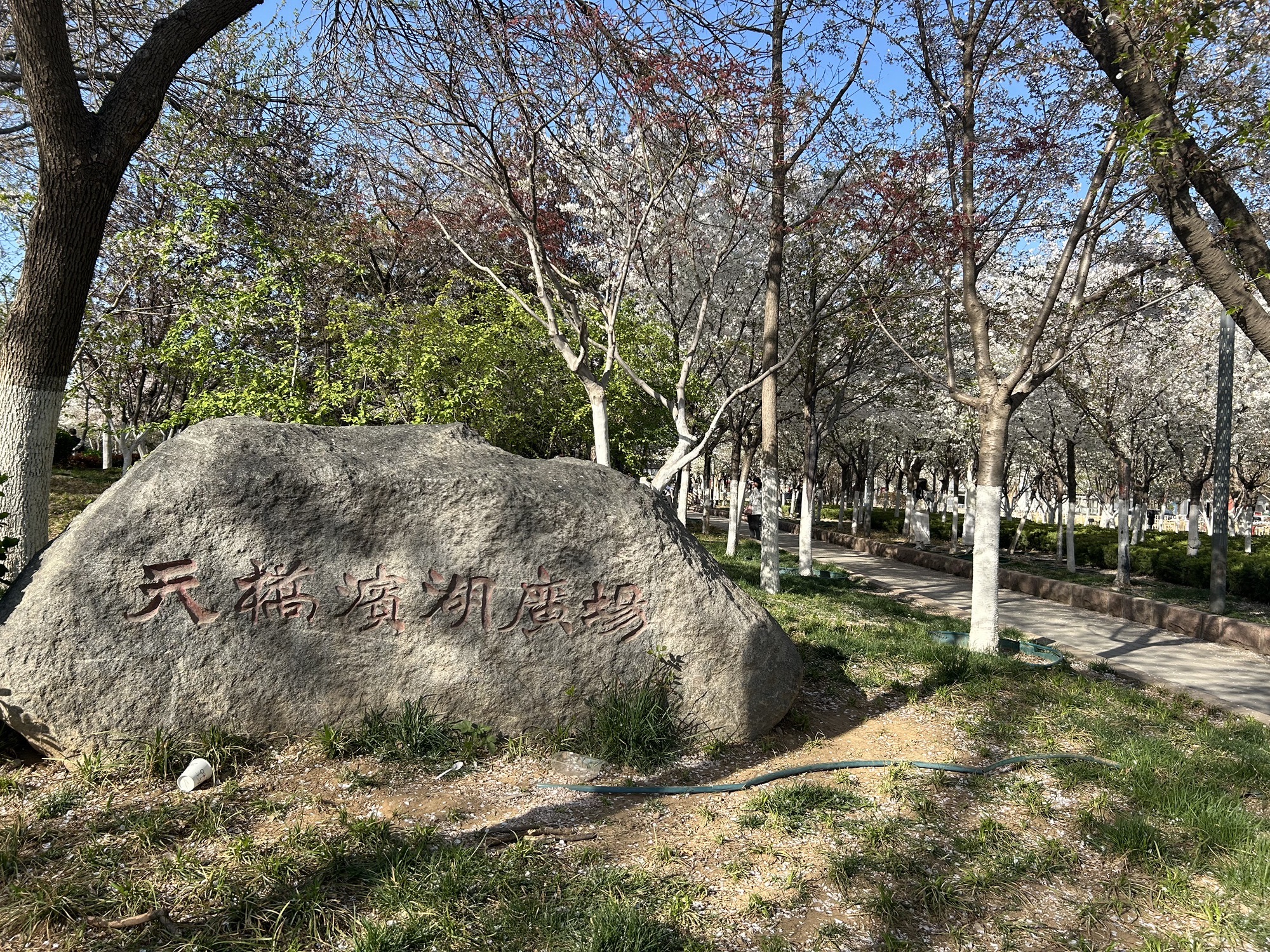 天桥滨湖广场旅行图片 1