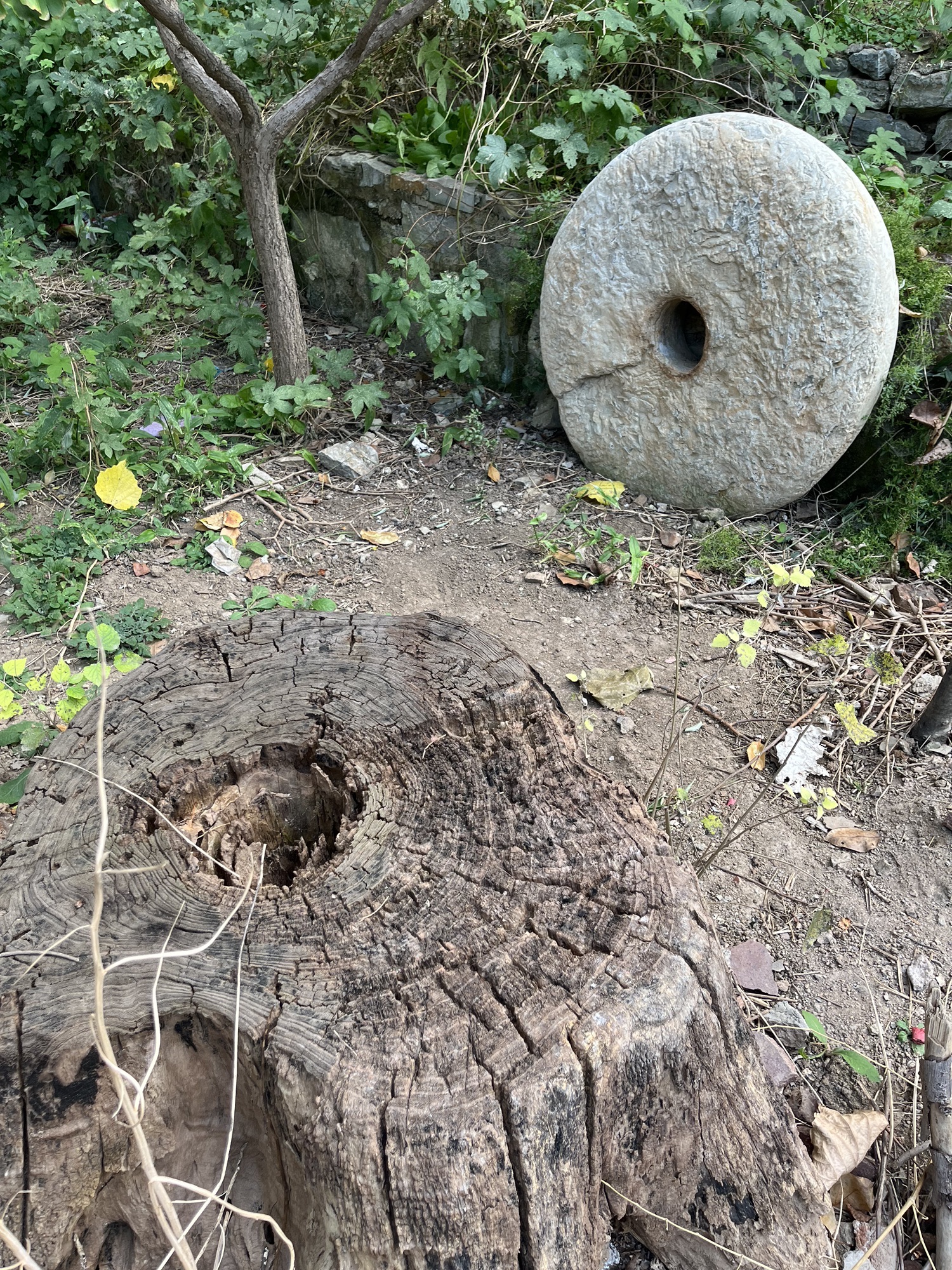济南市市中区兴隆街道斗母泉村斗母泉旅行图片 3