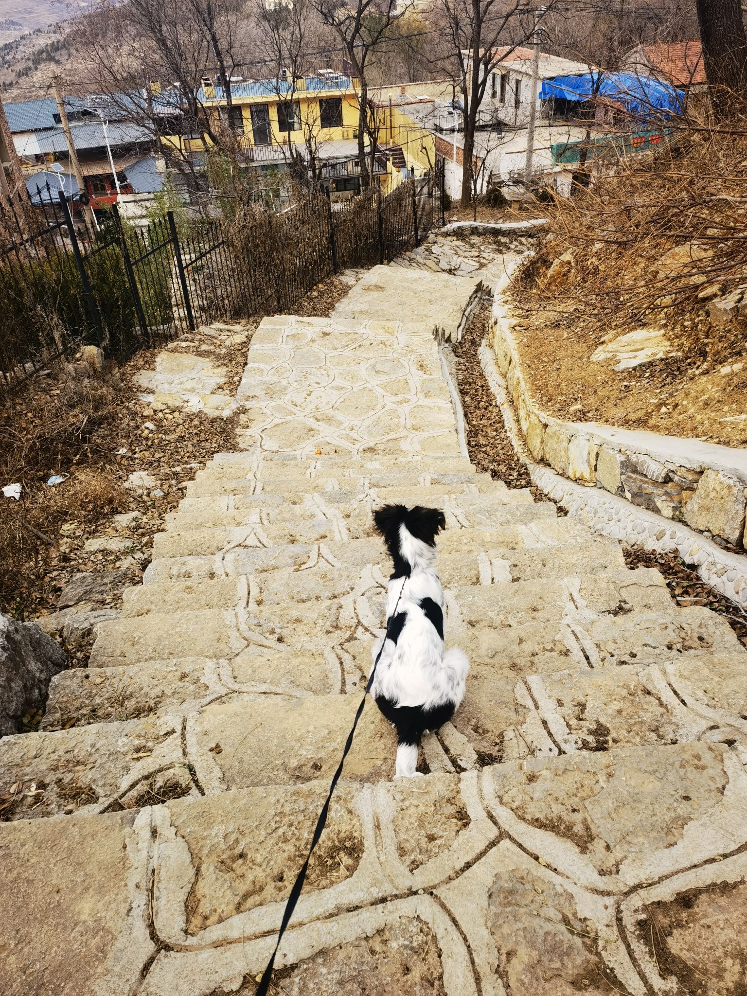济南市市中区兴隆街道斗母泉村斗母泉旅行图片 2