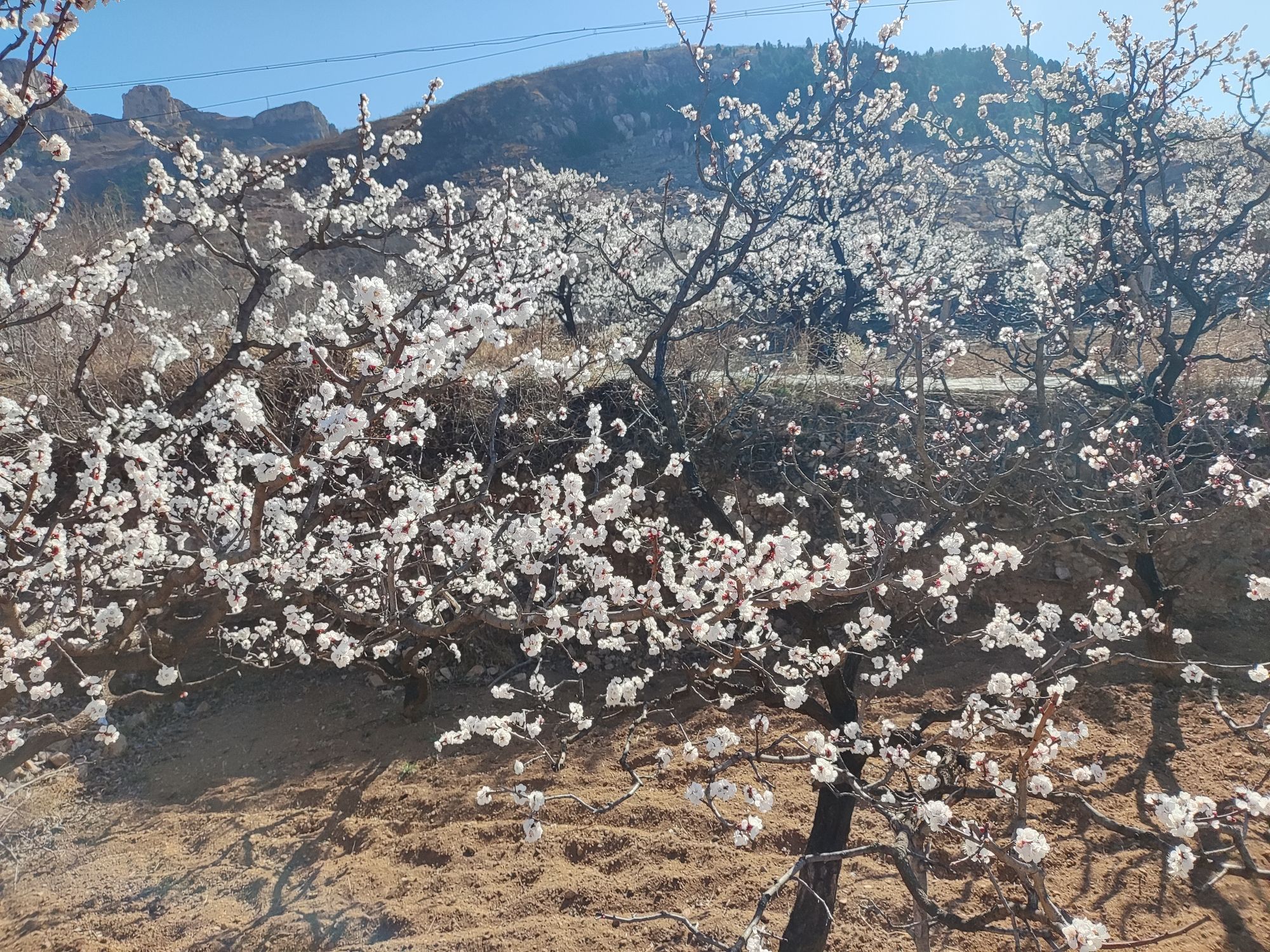 九重天景区旅行图片 3