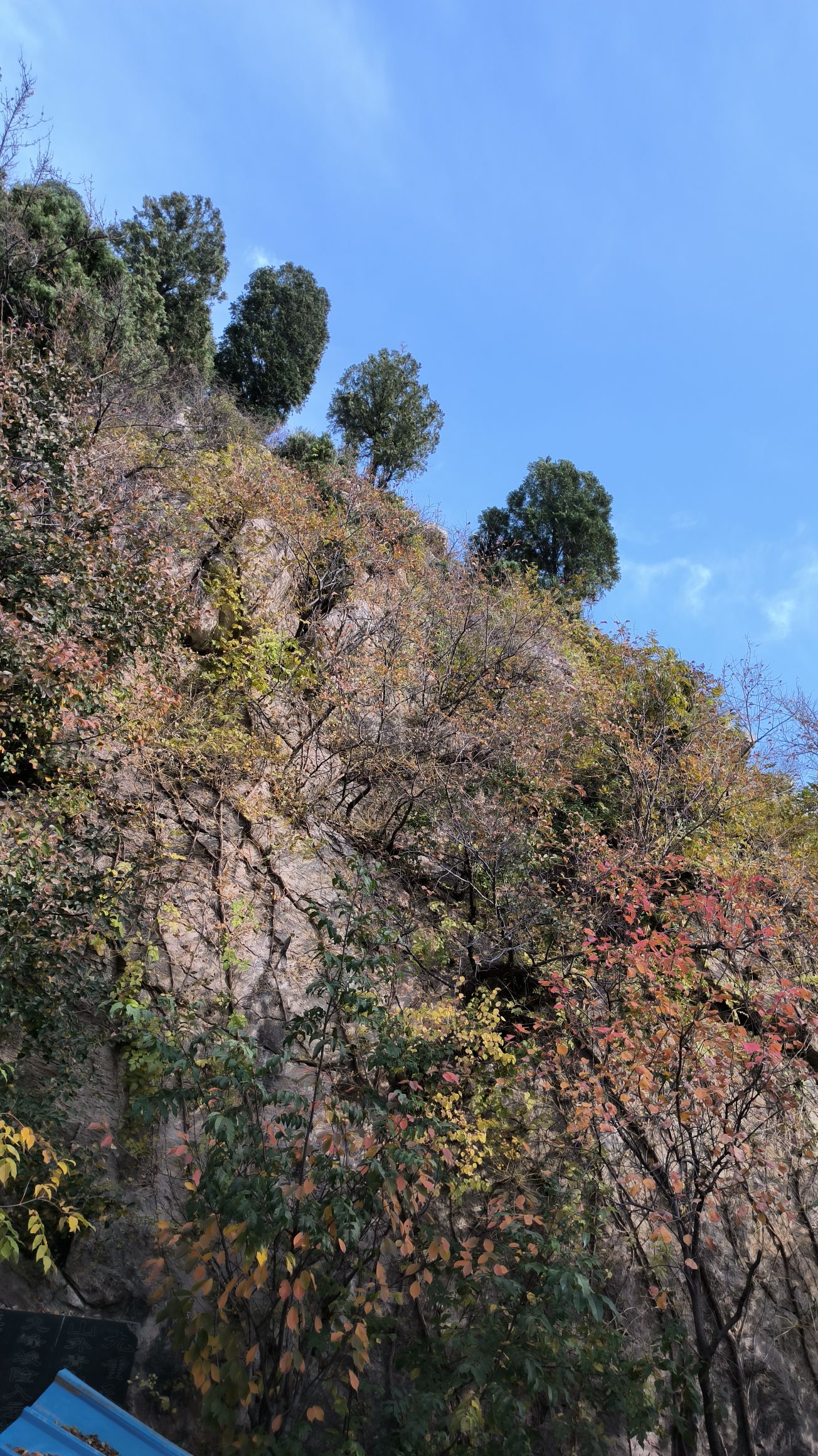 九重天景区旅行图片 2