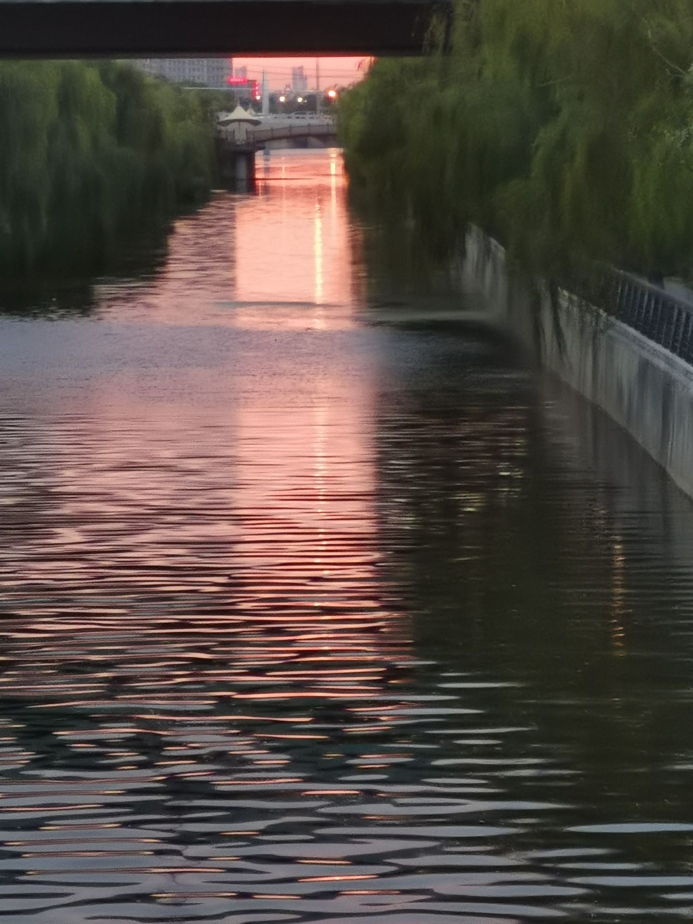 五柳岛旅行图片 3