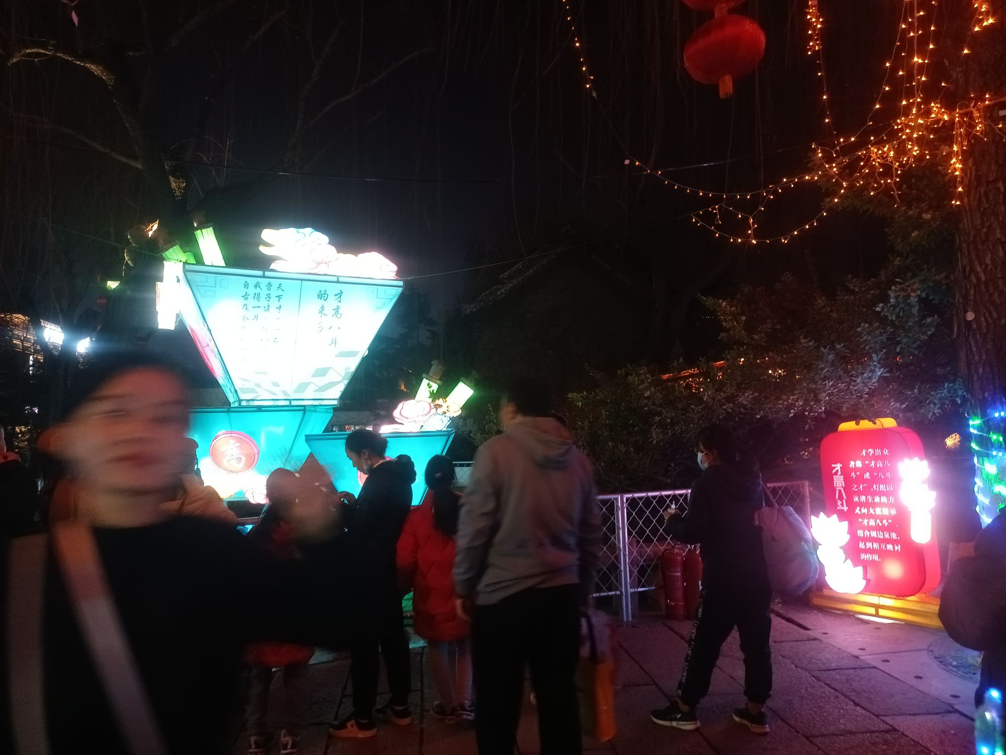 五柳岛旅行图片 3