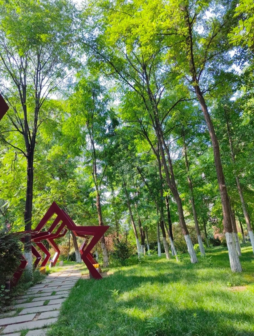 五柳岛旅行图片 1