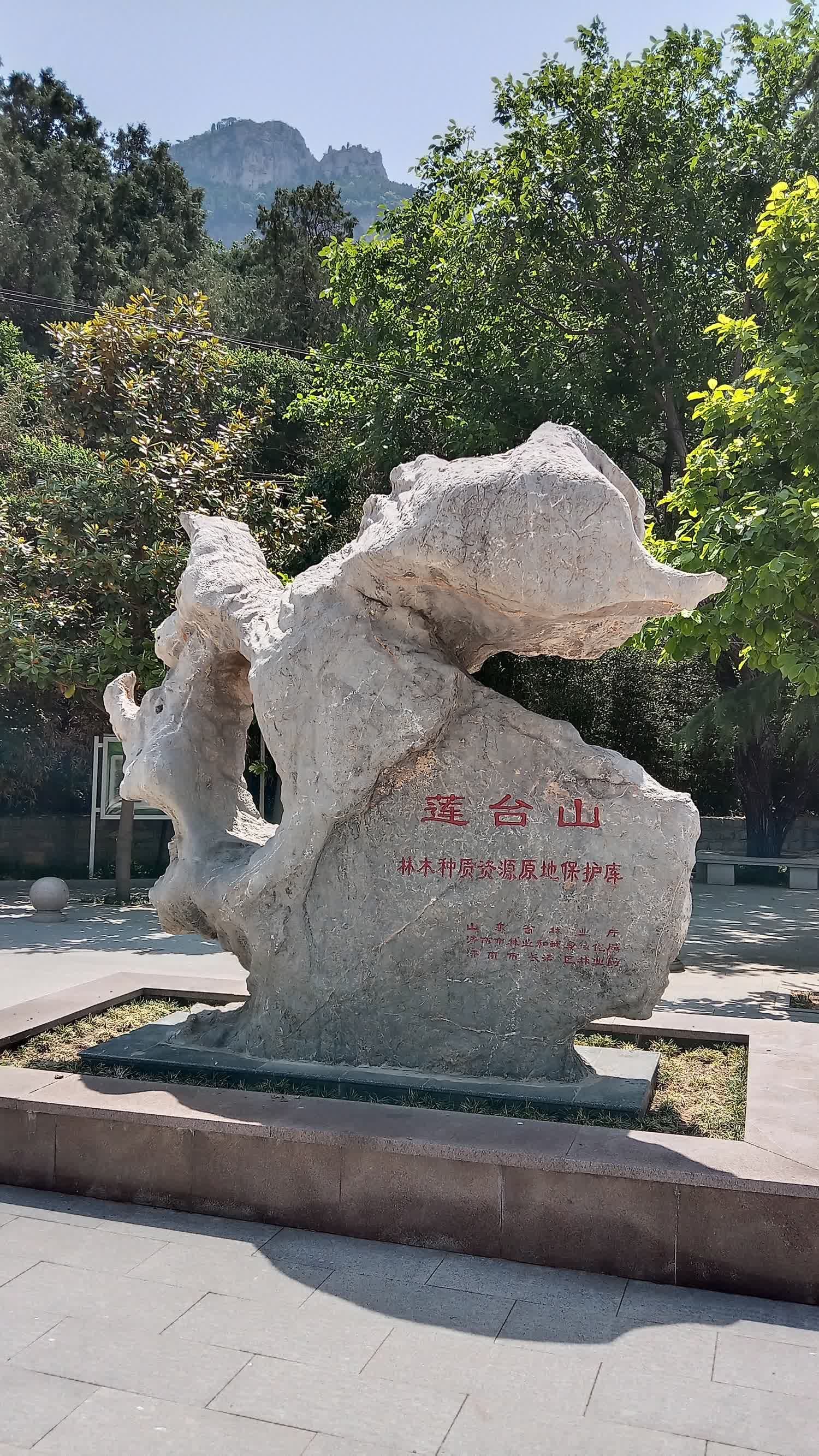 莲台胜境旅行图片 3