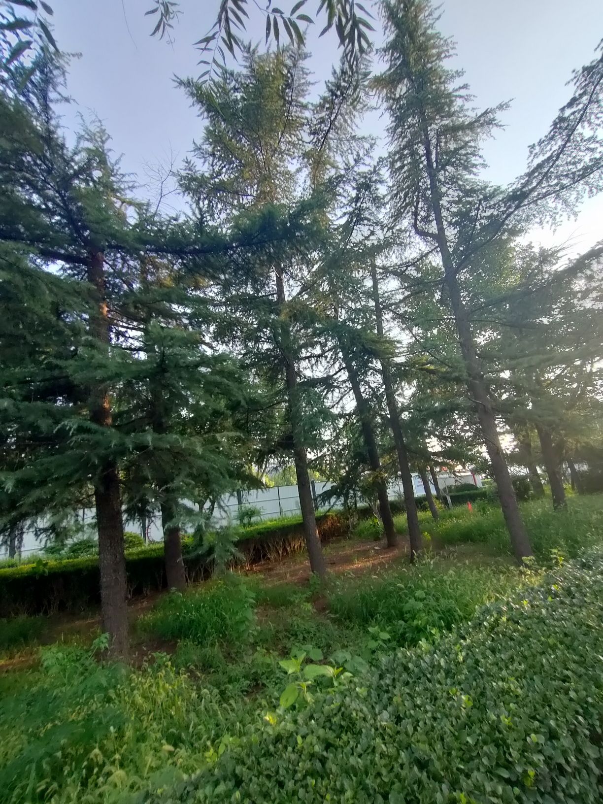 港沟广场旅行图片 3