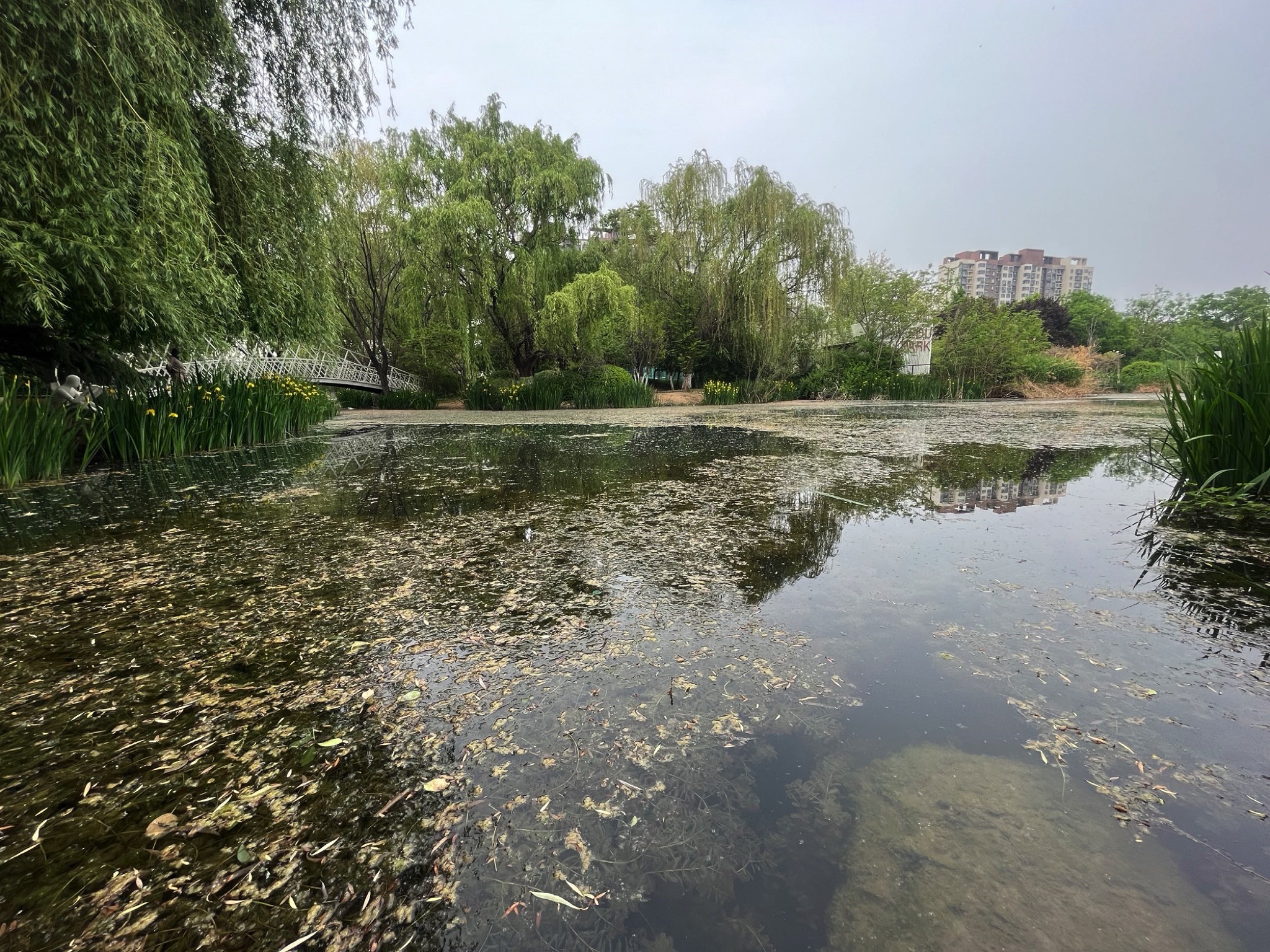 万象新天运动的森林旅行图片 1