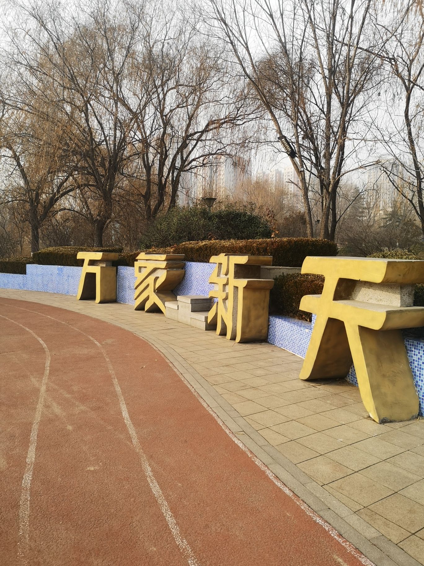 万象新天运动的森林旅行图片 1