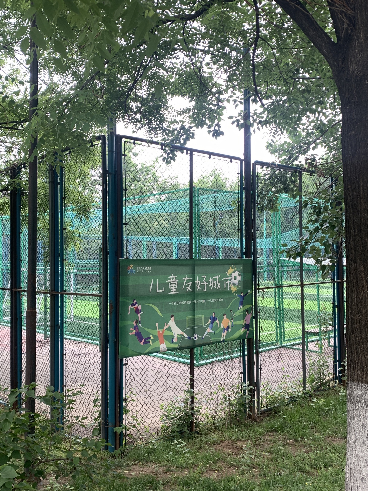万象新天运动的森林旅行图片 2