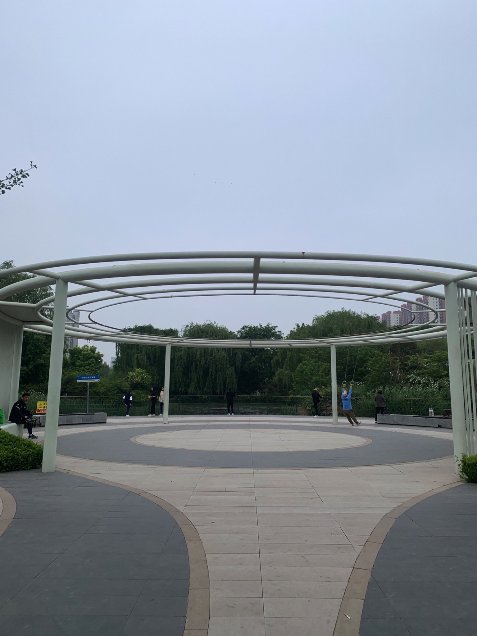 万象新天运动的森林旅行图片 1