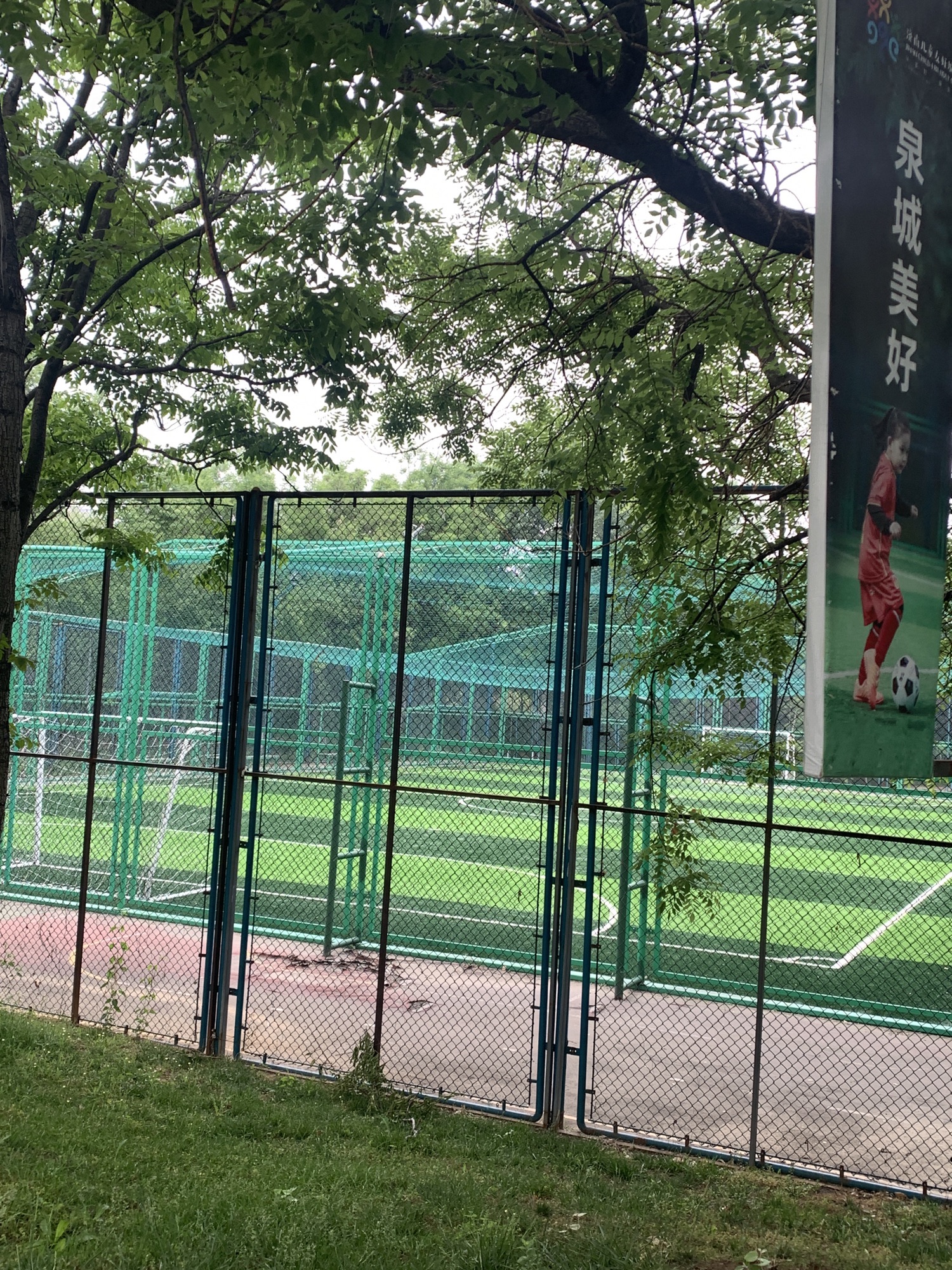万象新天运动的森林旅行图片 3