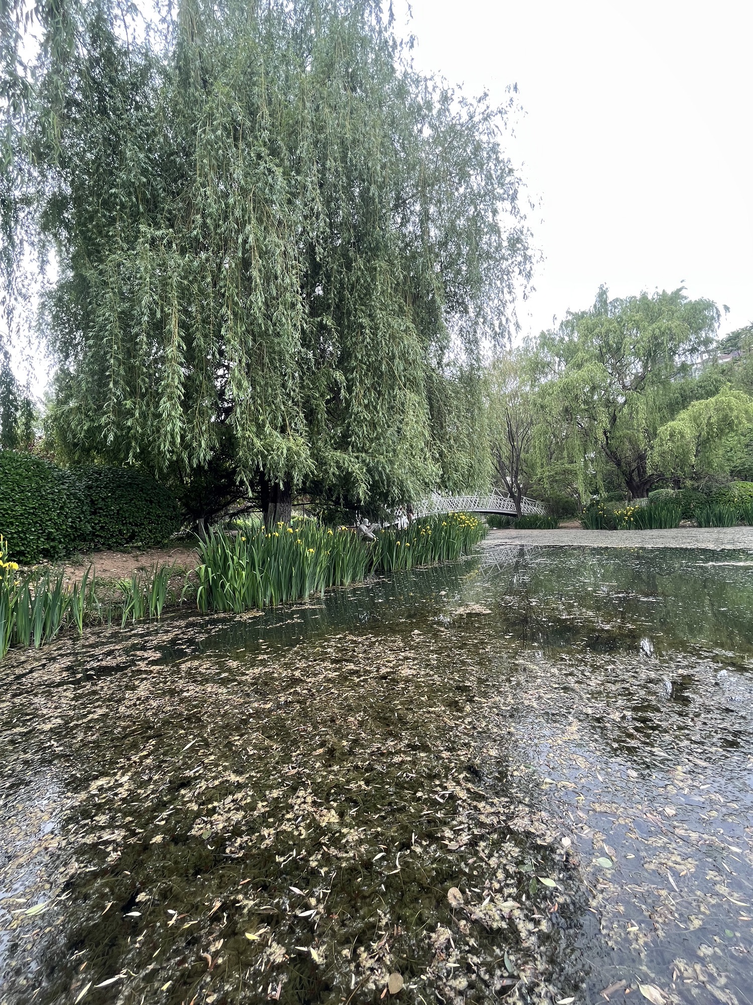 万象新天运动的森林旅行图片 2