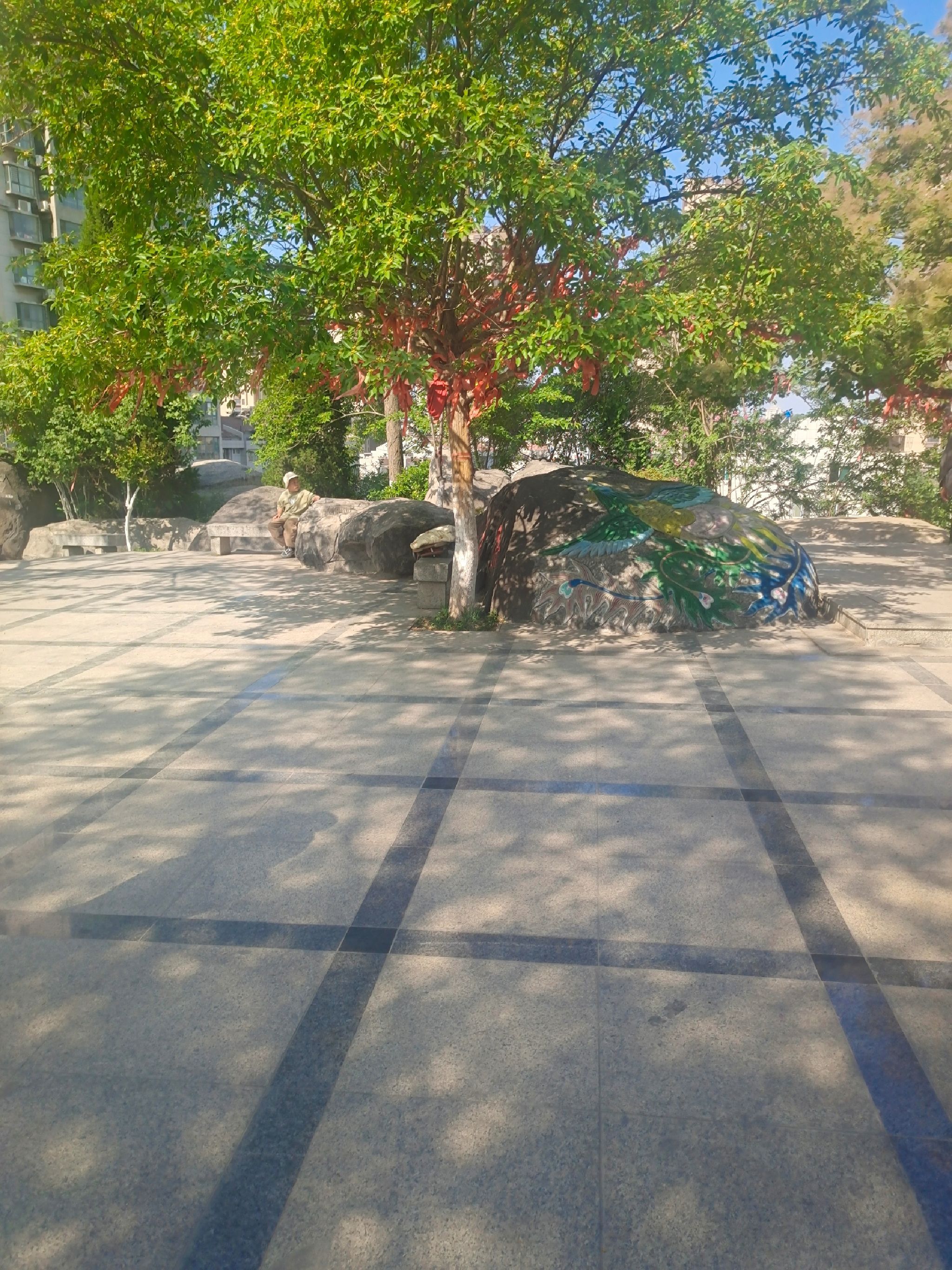 凤凰山旅行图片 3
